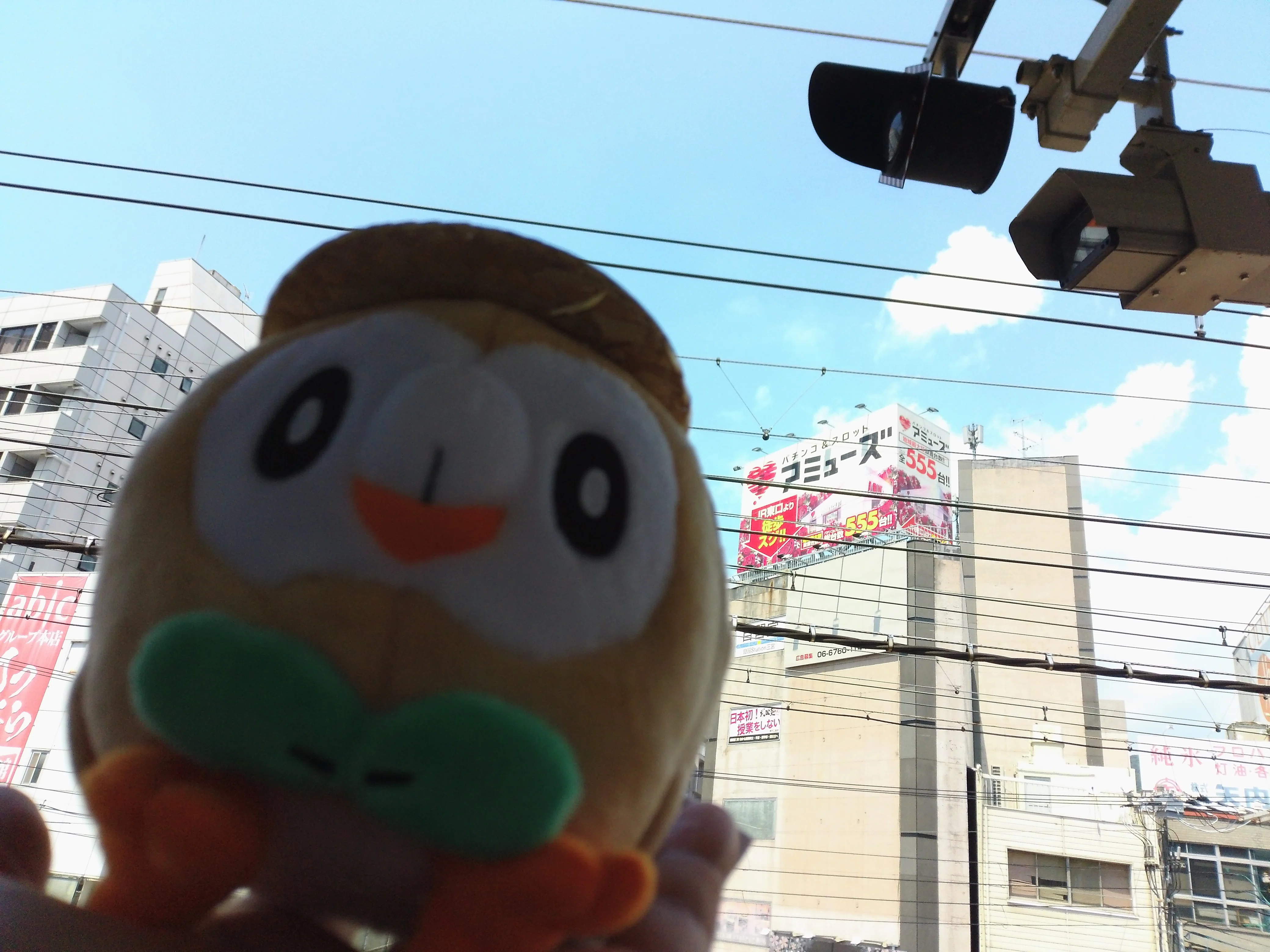 モクローの夏休み【日記】｜かずーのポケふた旅行記