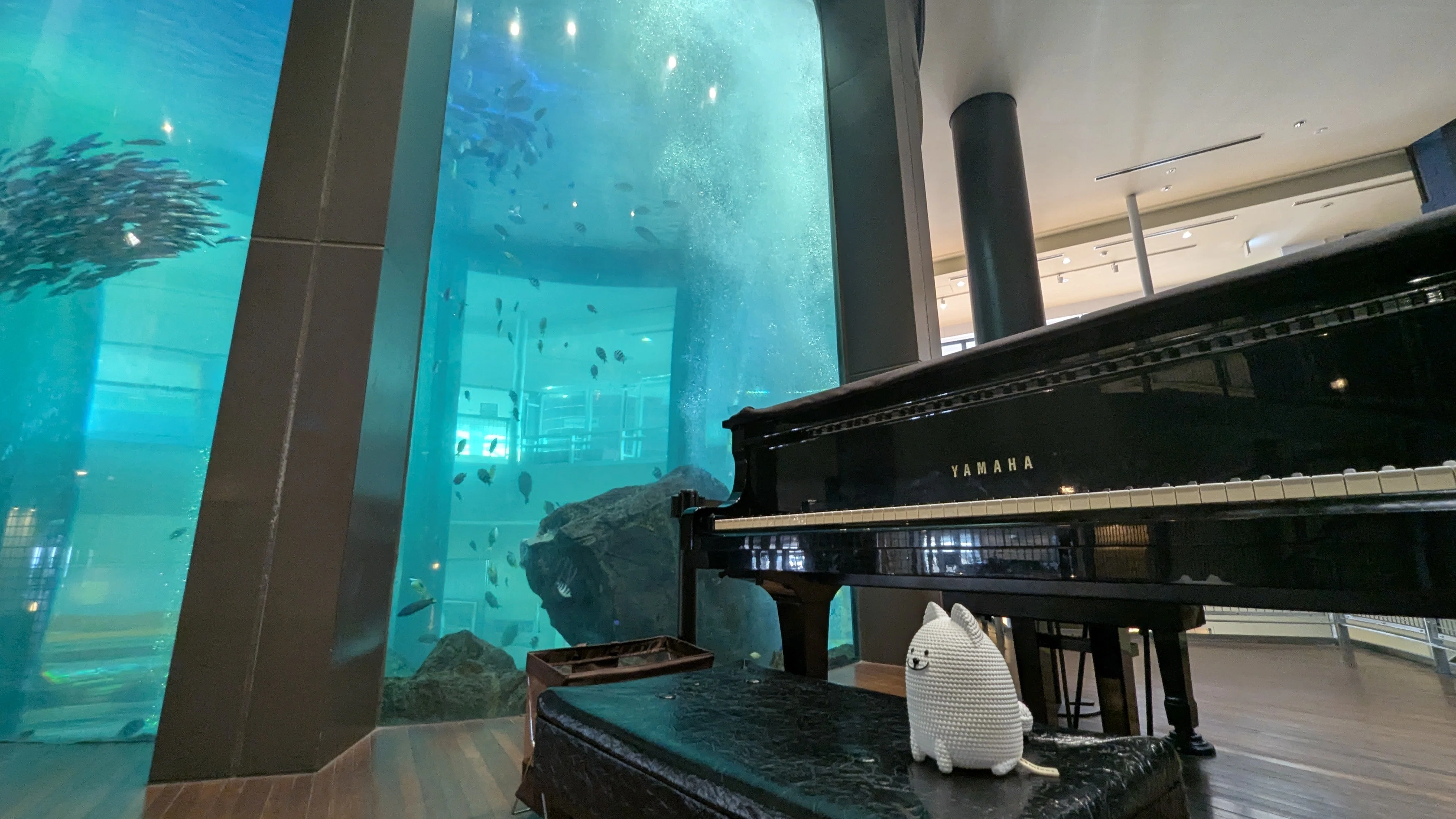 AquaTimezと共に歩んだ僕の人生：『Aqua Timez 太志 詩写真集 同じ窓
