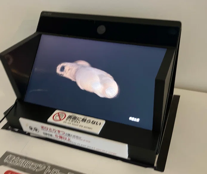 Sony 3D ディスプレイ 裸眼で3Dを体験！ソニーの空間再現ディスプレイ（SRD）とは？｜カワヤス