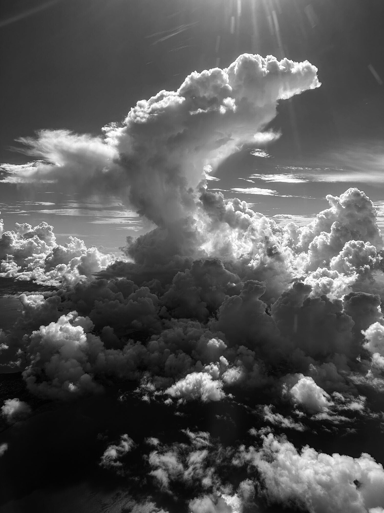 モノクロ写真の魅力｜しまなみフォトライフ