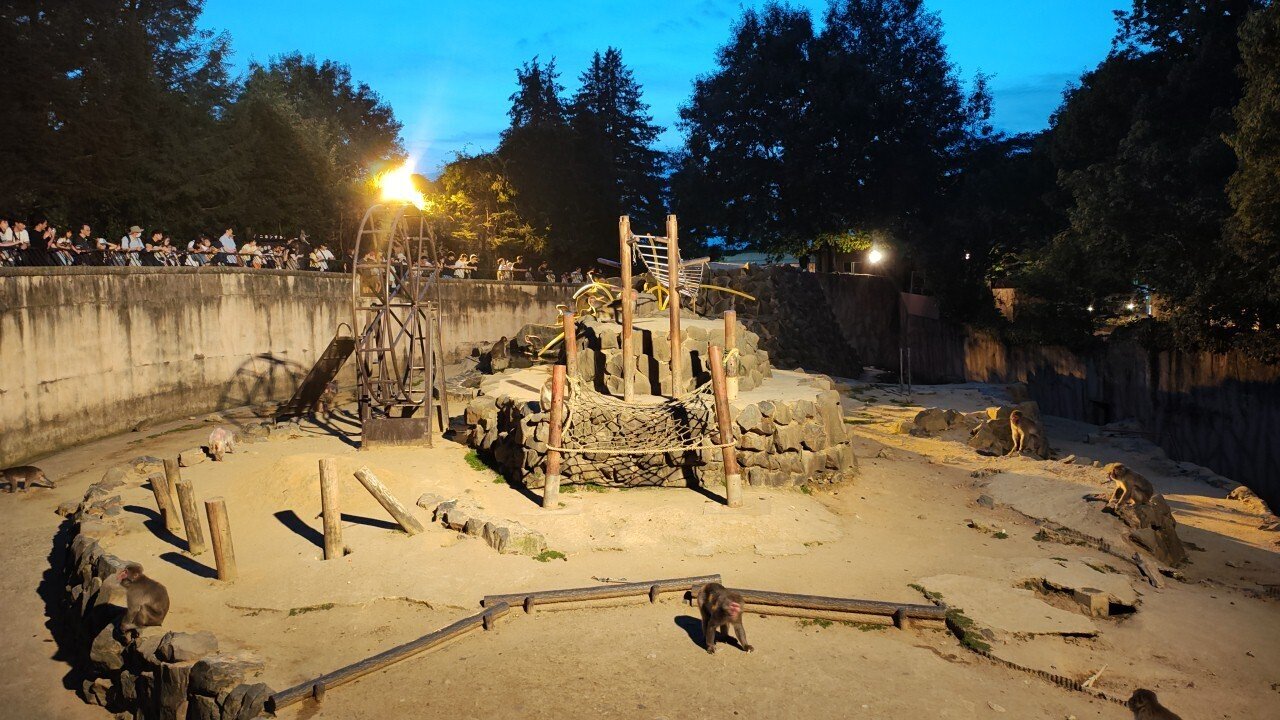 ふろラン#23】番外編 仙台市八木山動物公園ナイトズー 1周2.5キロ