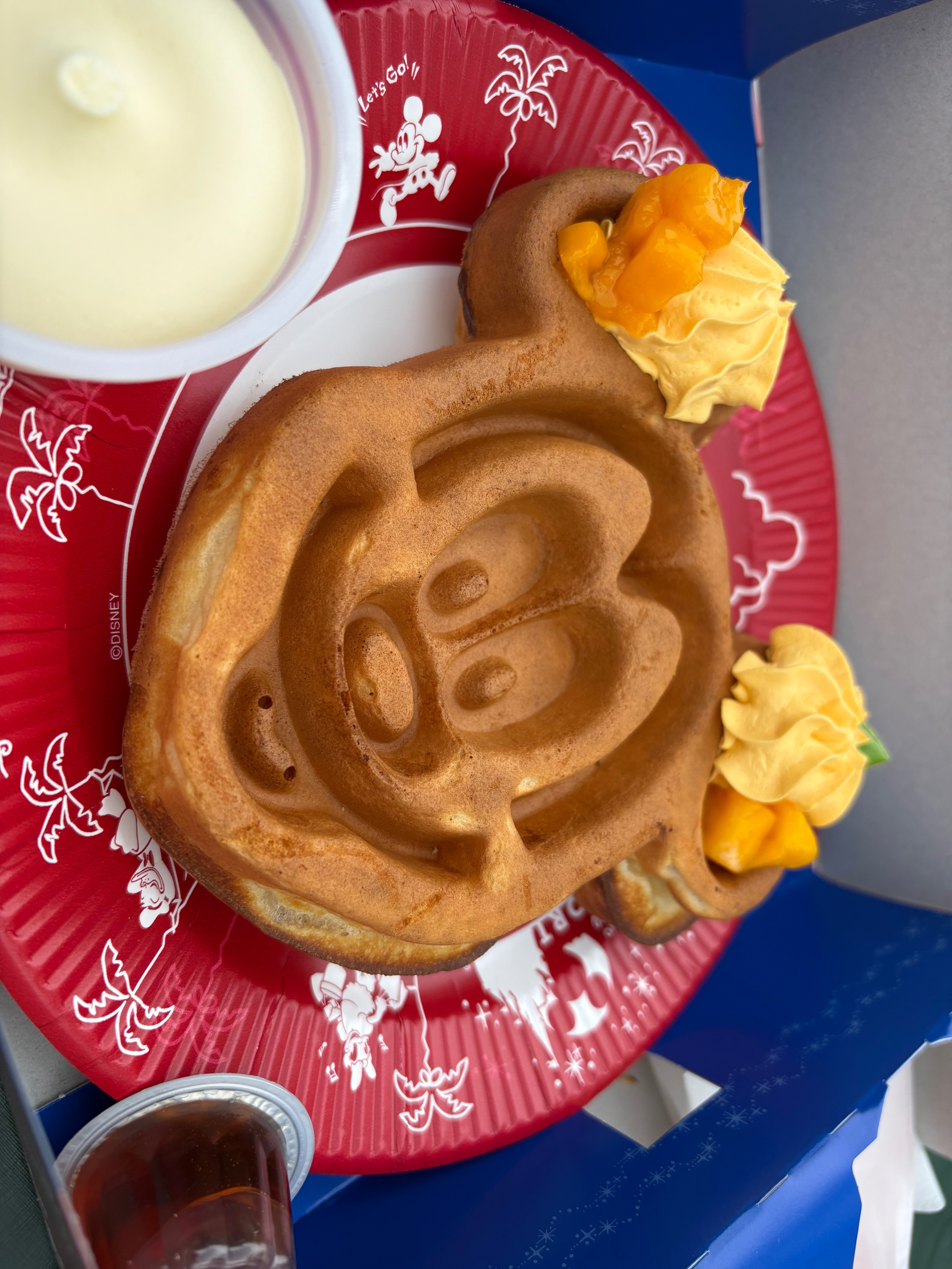まぁそこそこ好き」くらいの私がひとりディズニーデビューした話