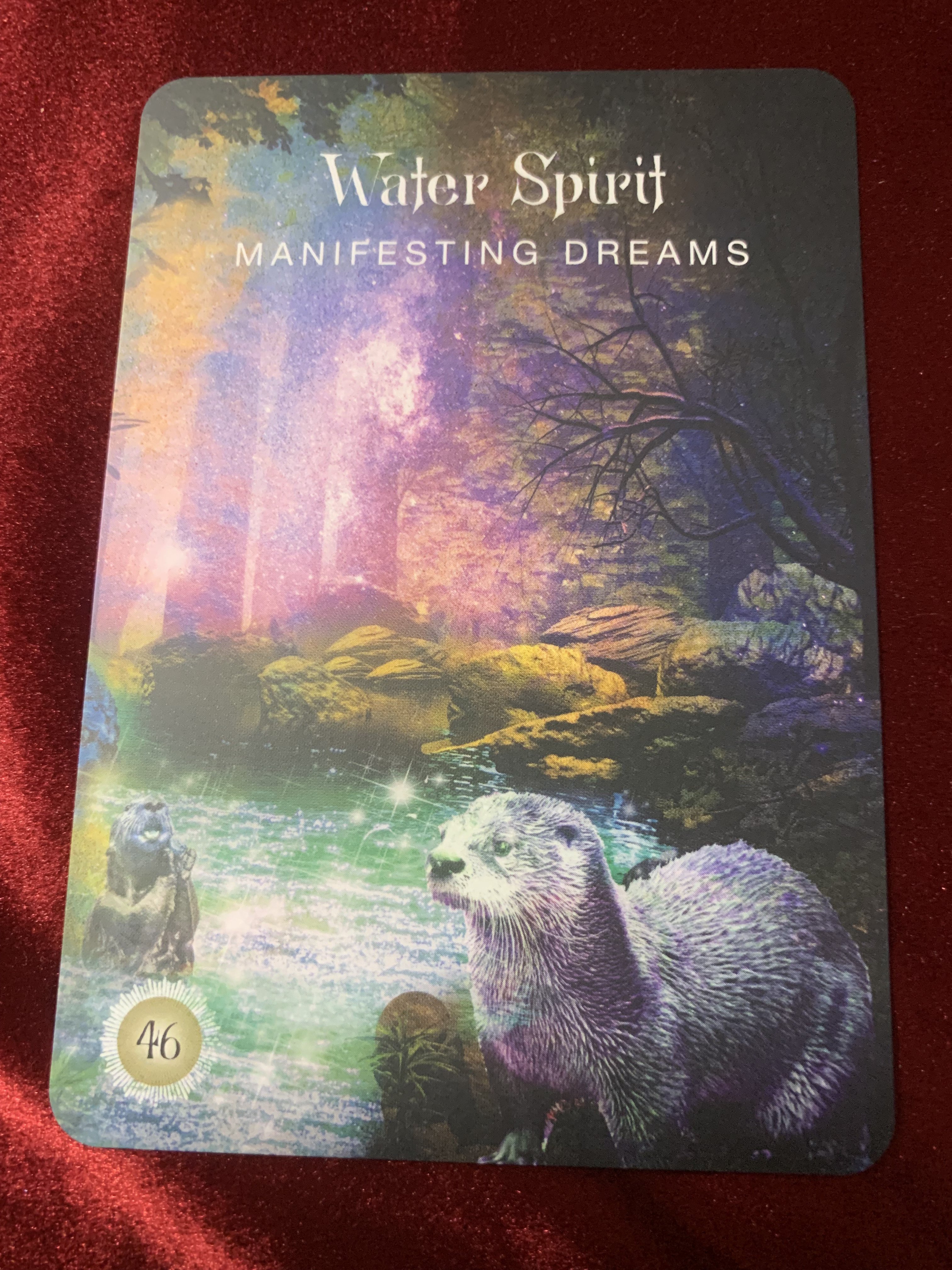貴重 新品未開封 SALT WATER SPIRIT ORACLE CARDS Salt Water Spirit
