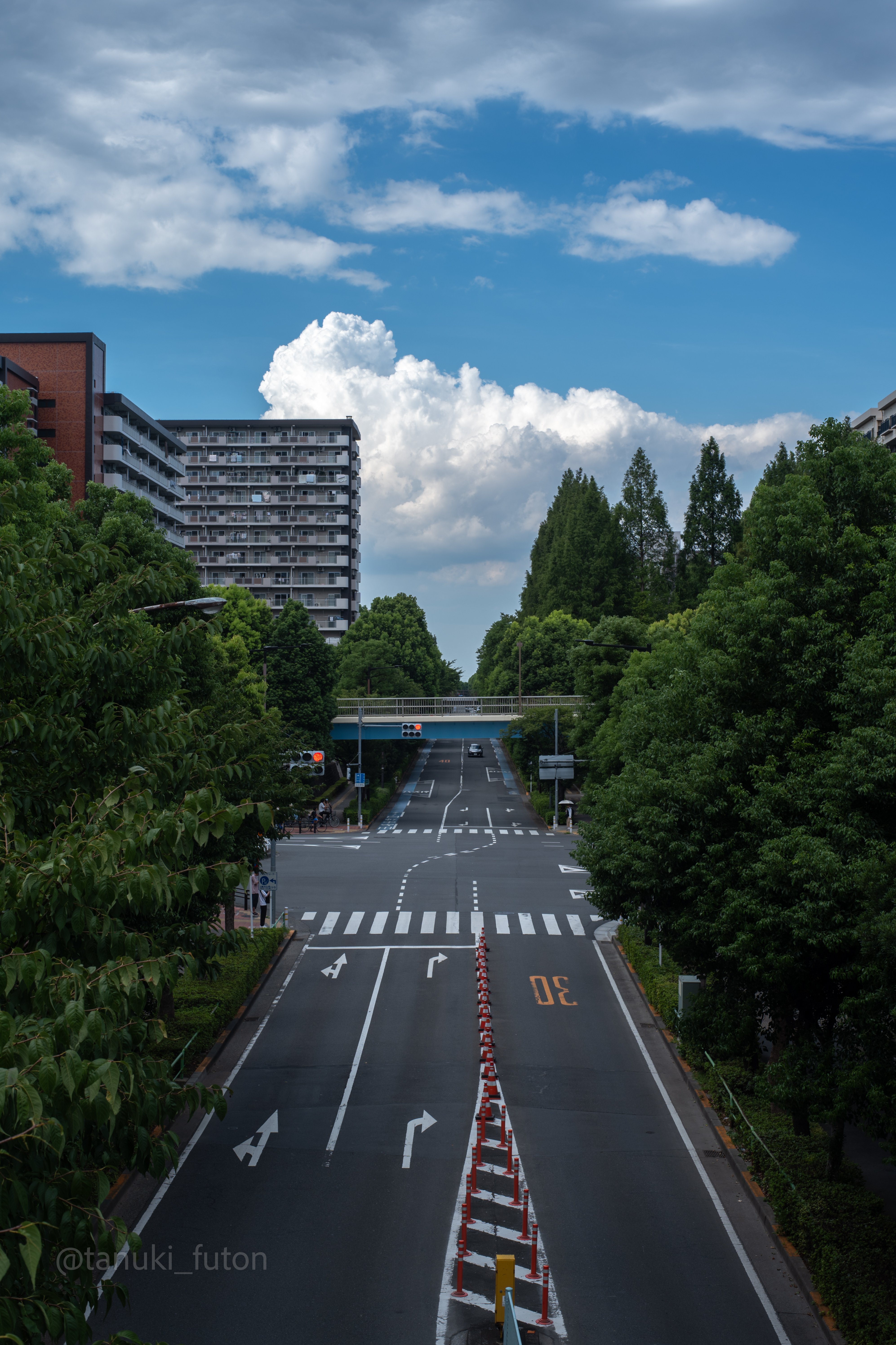 和製ズミクロン｜ XR RIKENON 50mmF2を使ってみた！｜たぬきふとん