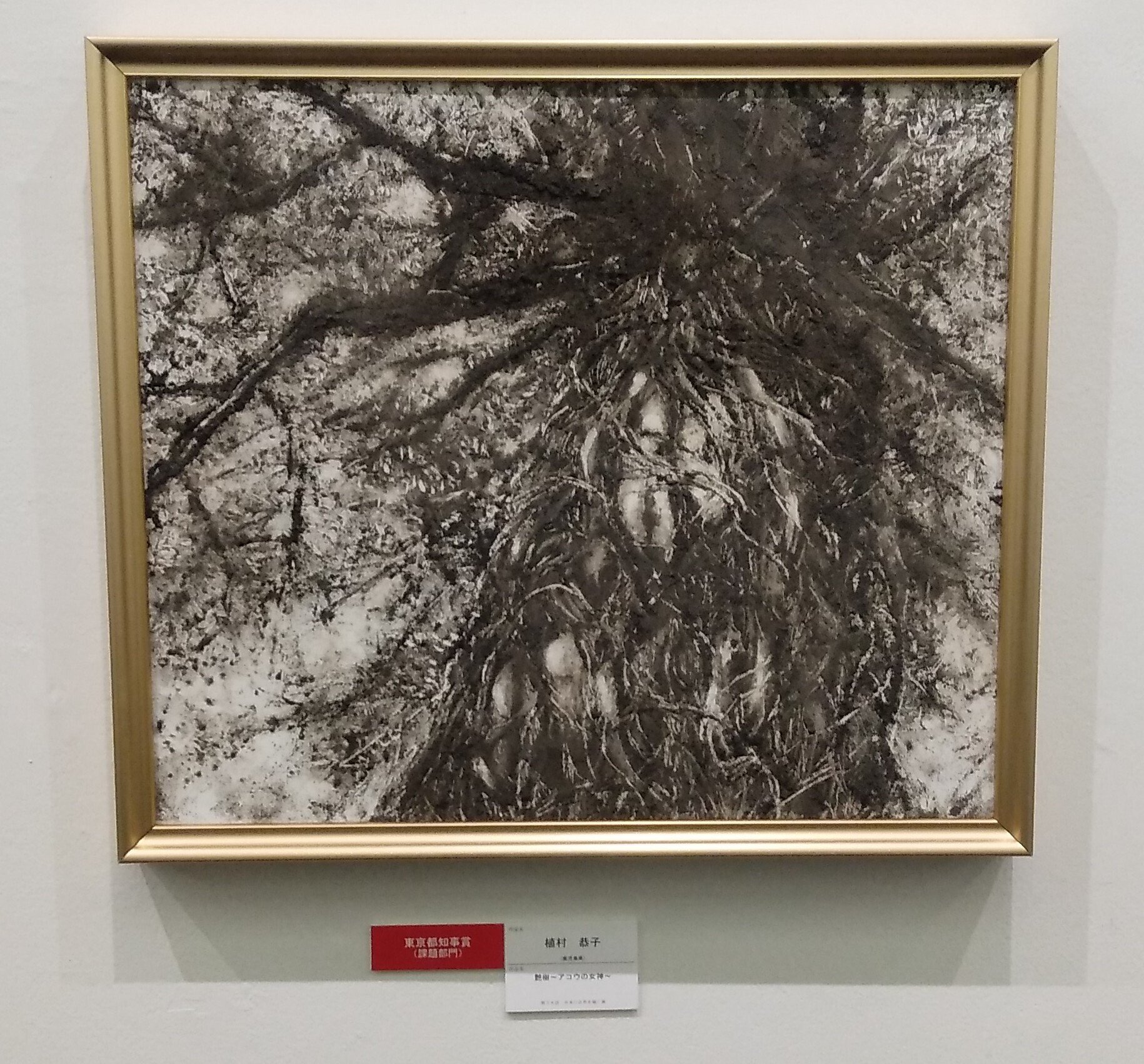 4-1 第38回 日本の自然を描く展・公募展 上野の森美術館 私の判断で