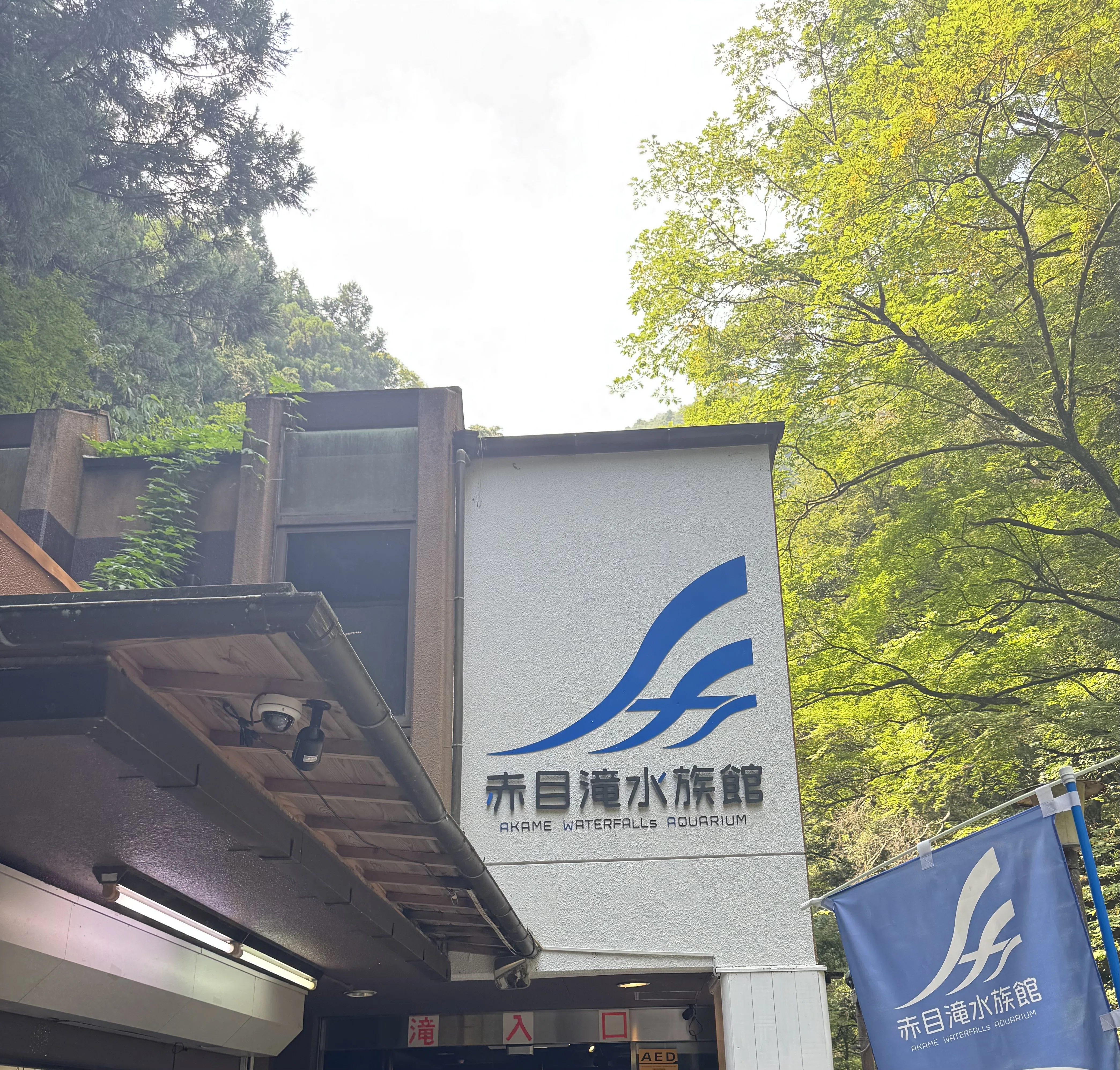赤目四十八滝（悪書禁止だってばよ）｜しかのじょう