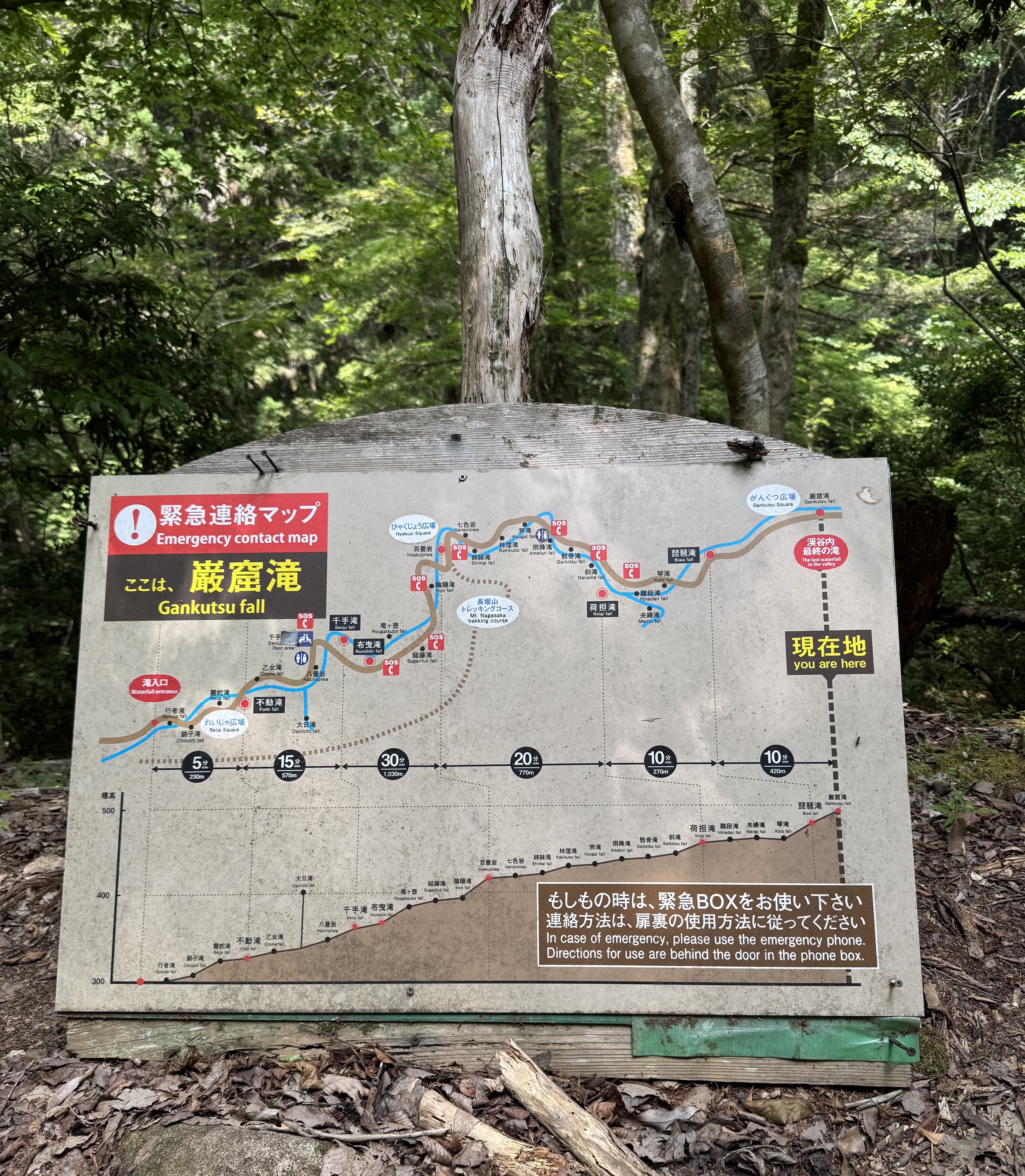 赤目四十八滝（悪書禁止だってばよ）｜しかのじょう