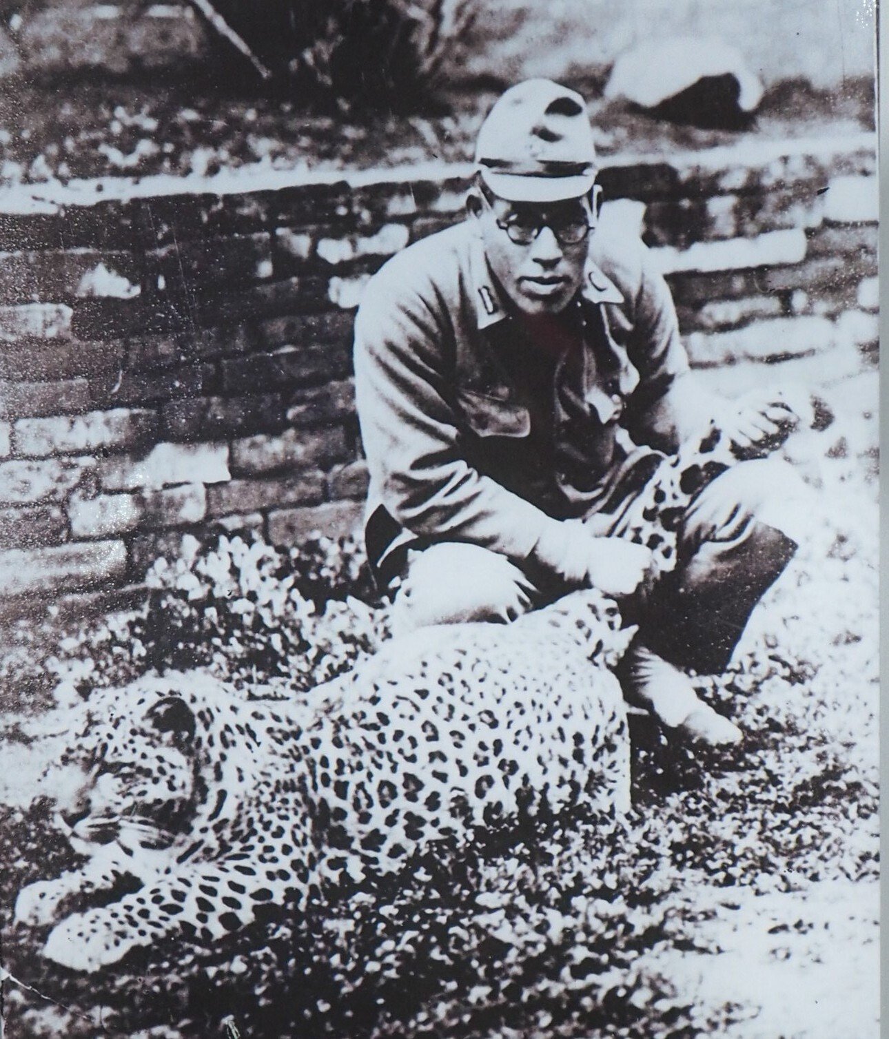 高知市に「ハチと兵士の像」戦争に翻弄されたヒョウの物語｜中山道雄