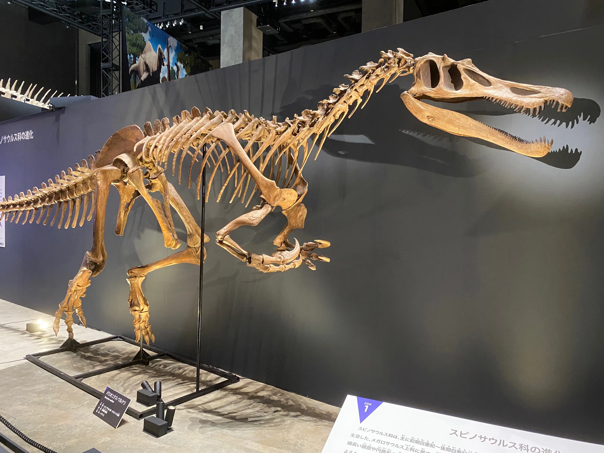 2025 特別展・獣脚類（1）｜theropodさん