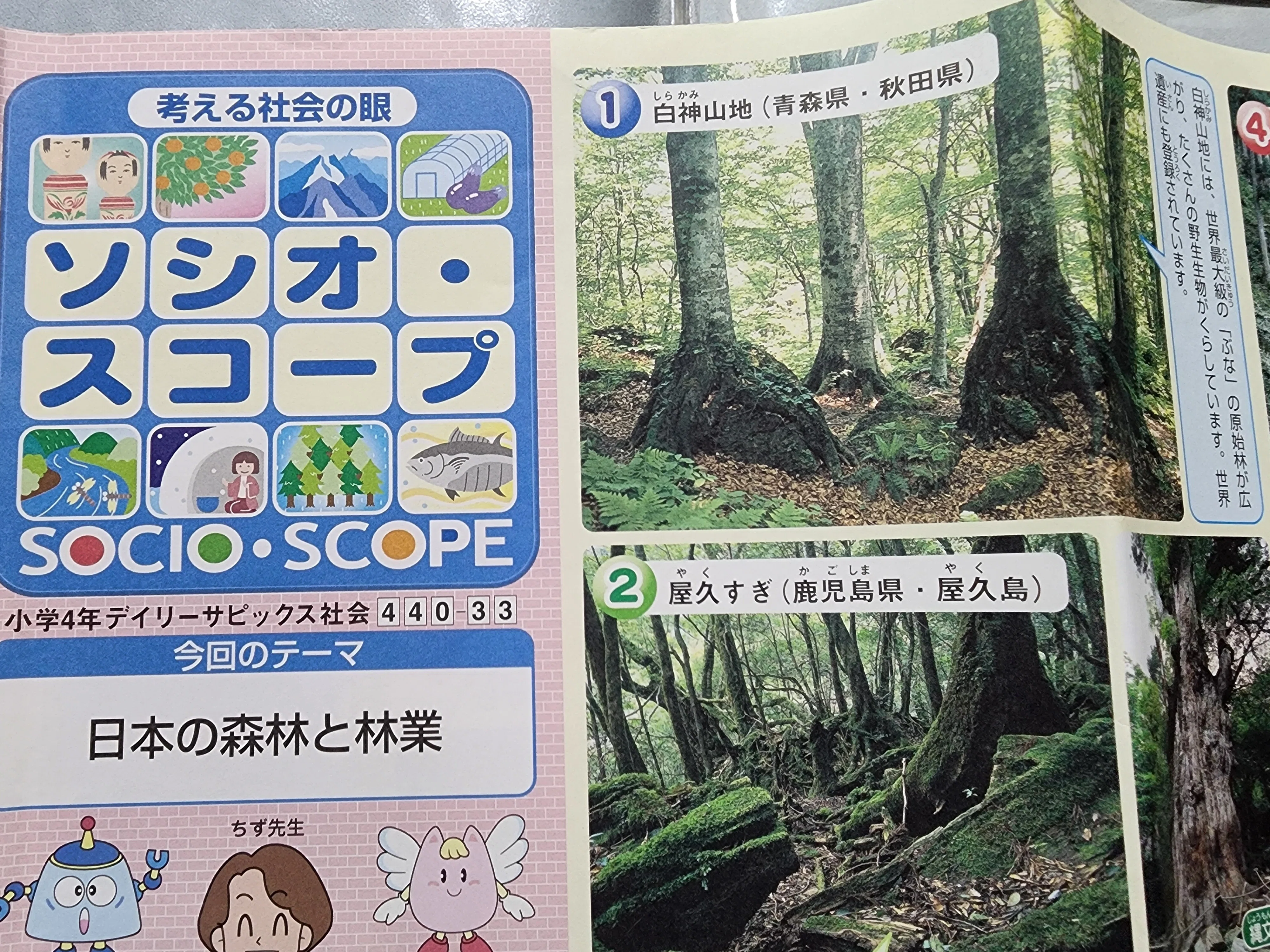 サピックス時代の個人成績表を入手！ 6年生で偏差値38…ここからどう