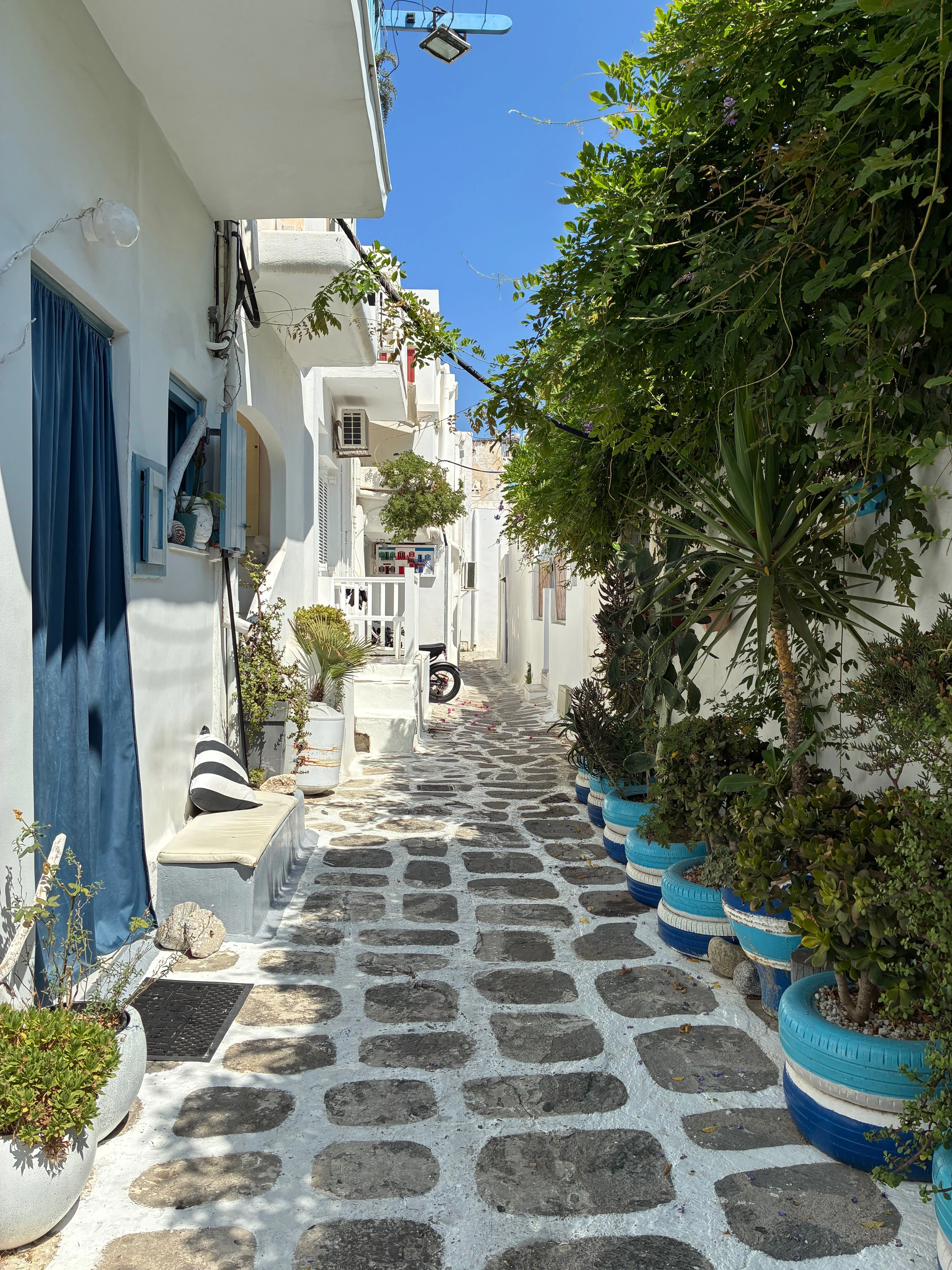 ギリシャの海でバカンス🇬🇷②ミコノス島で何もしない日｜にゃほにゃほ