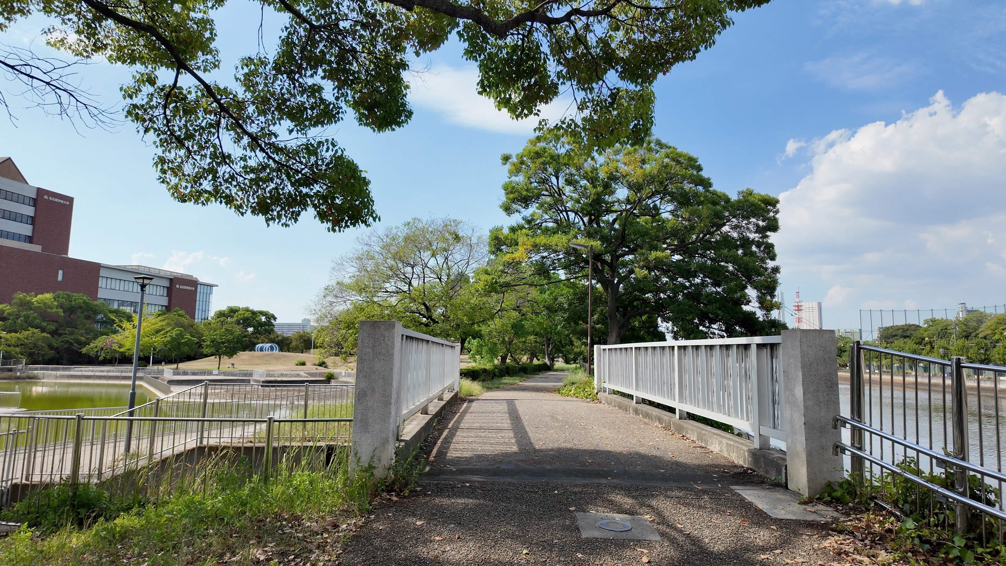 白鳥公園】太夫堀とキャンパスをのぞむ夏散歩｜Masami Ikawa