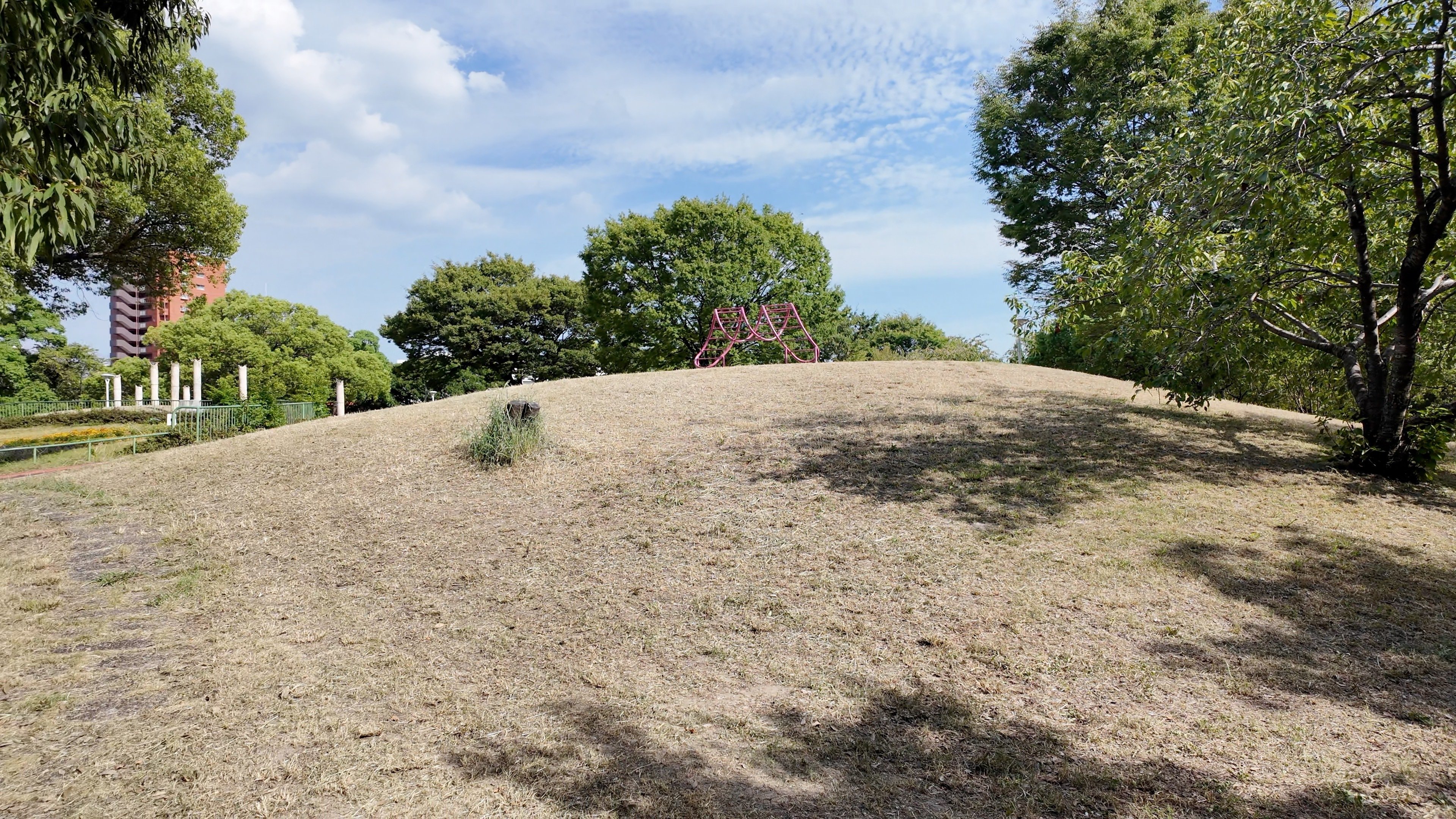白鳥公園】太夫堀とキャンパスをのぞむ夏散歩｜Masami Ikawa