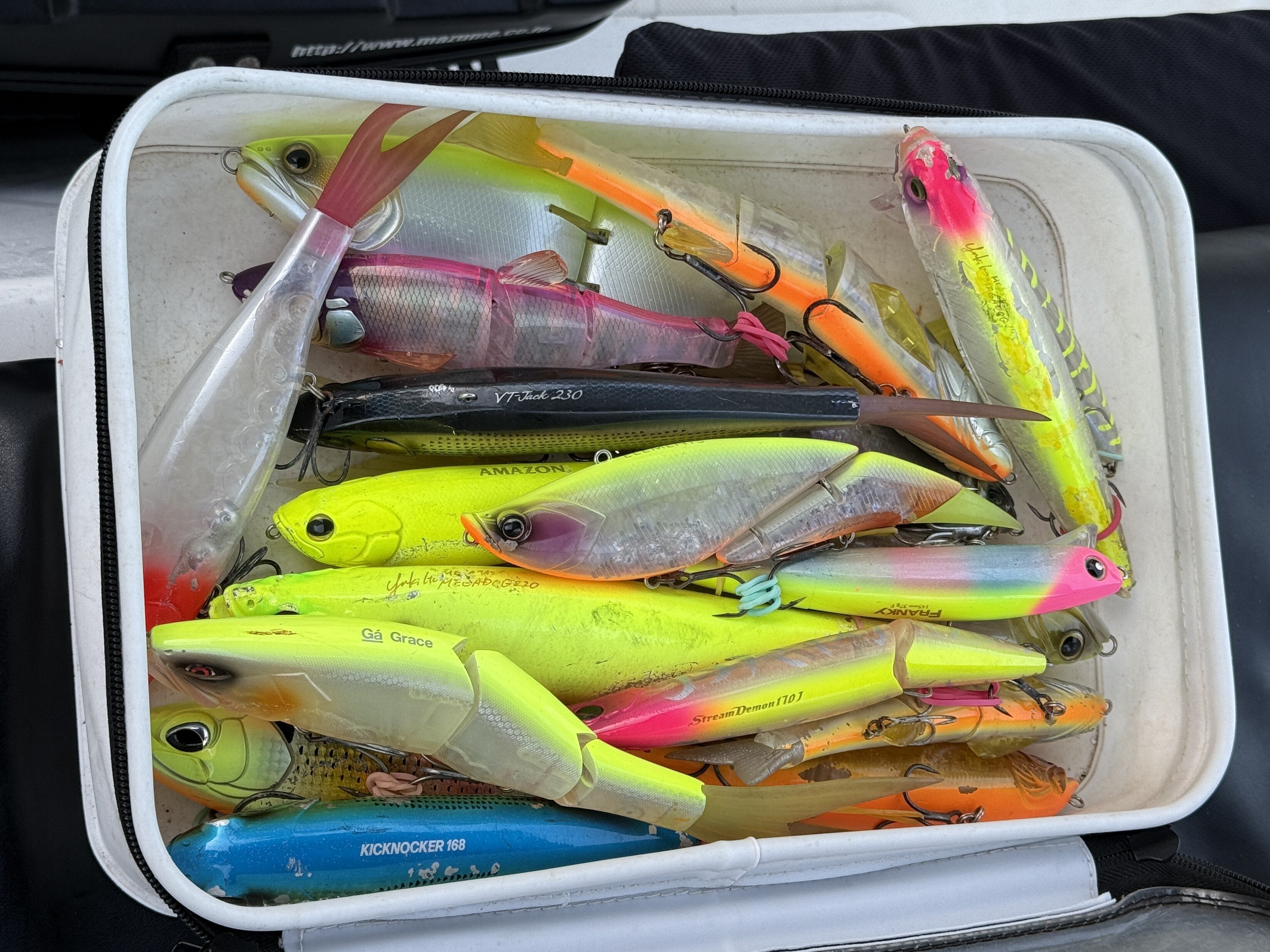 ボートシーバスやってみよう⑧ ビッグベイトやってみる？｜teruki1997