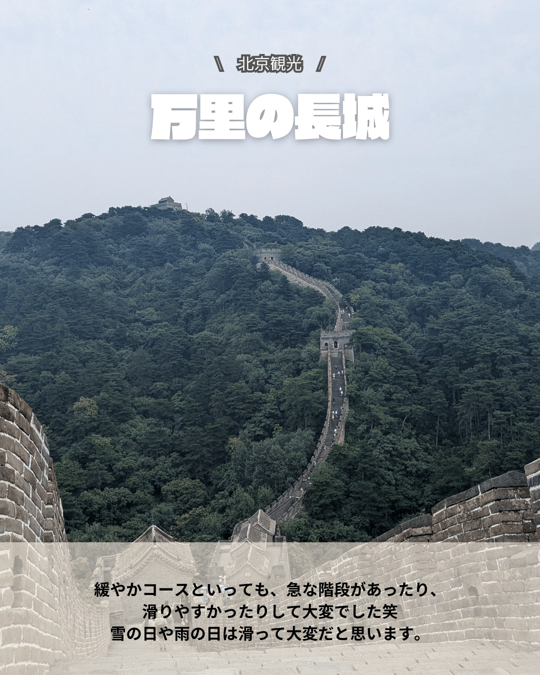 中国アクセサリー パンダ 万里の長城 北京動物園（パンダ館）＋頤和園