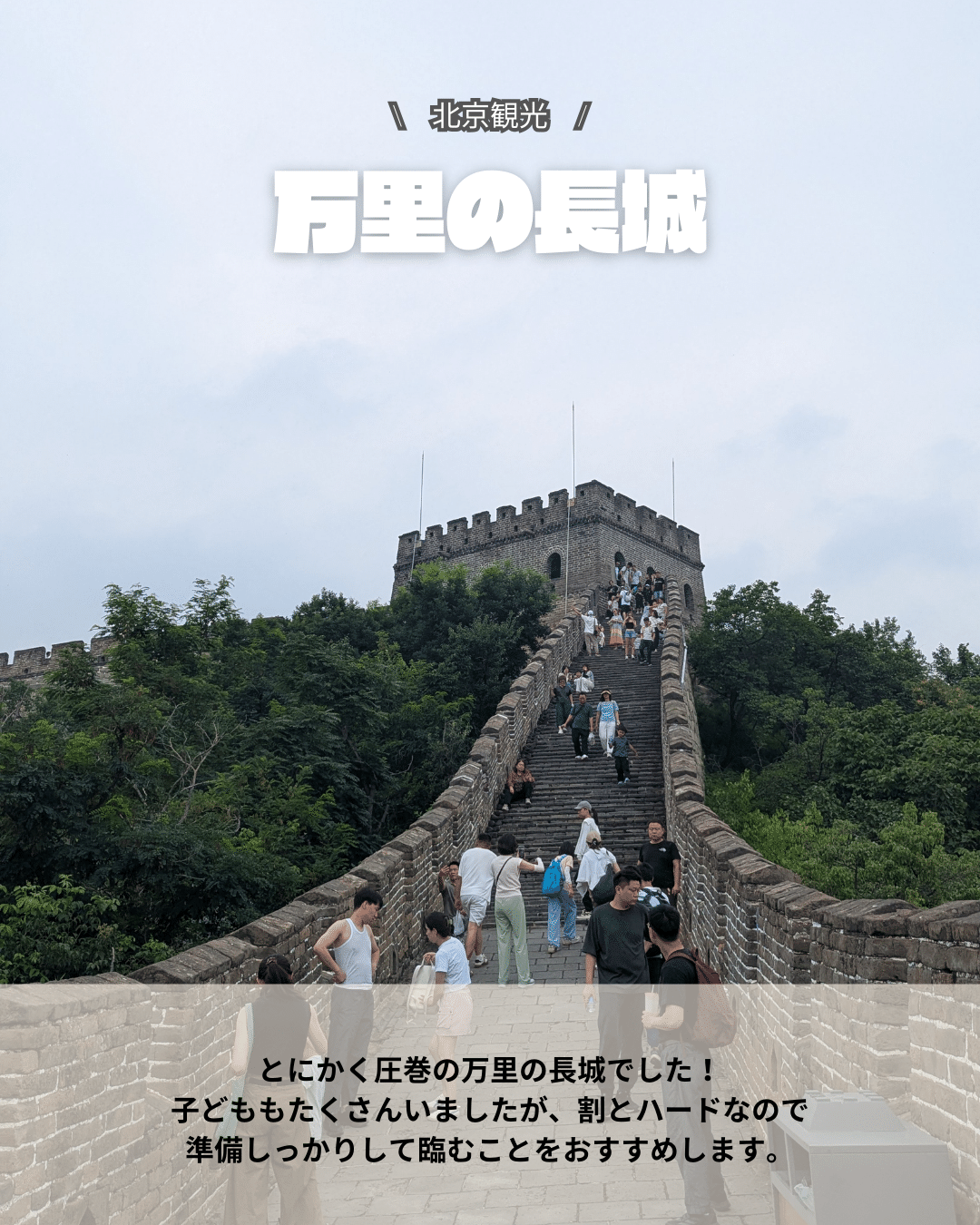 万里の長城｜パンダニーハオ