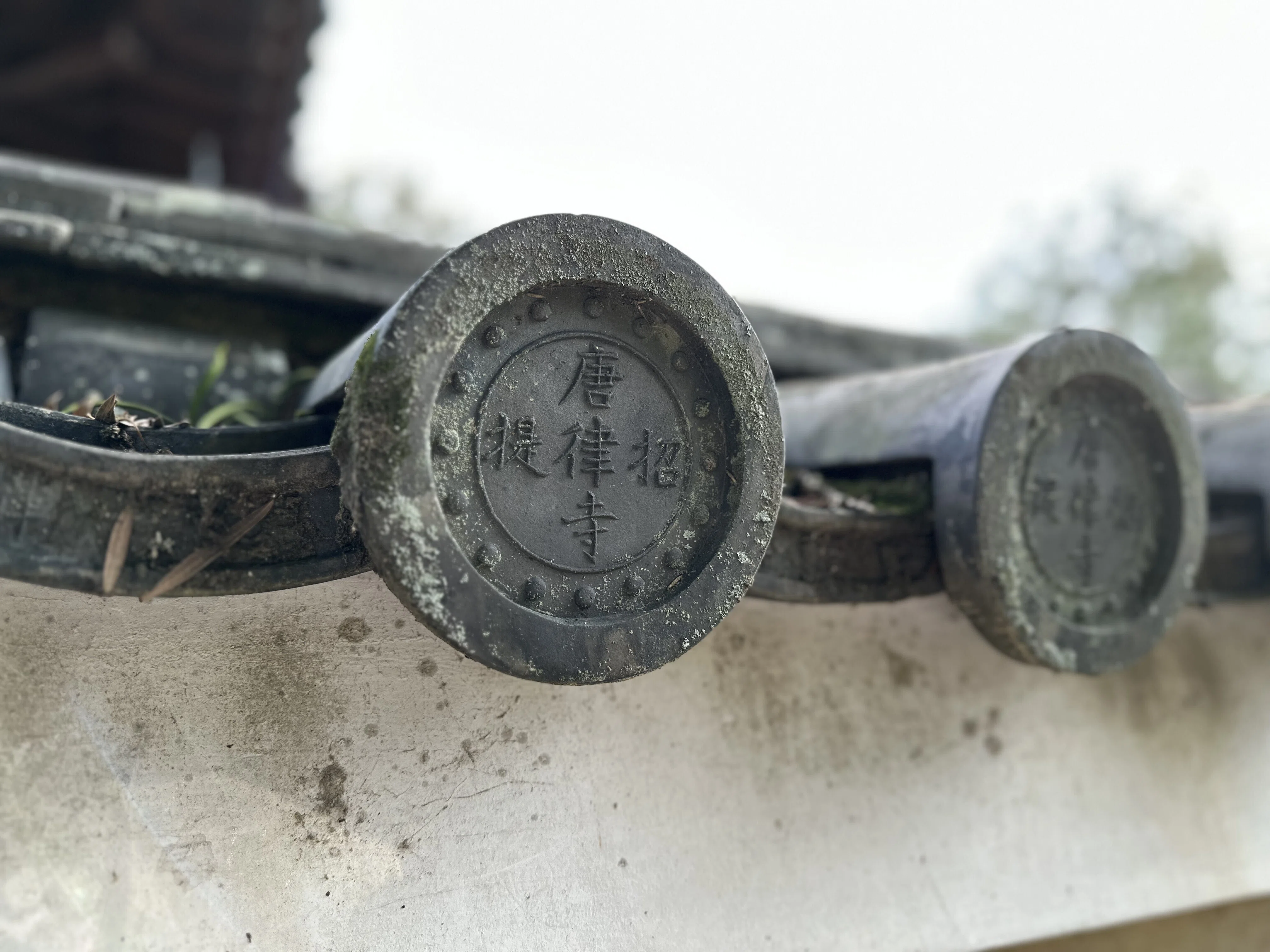 1200年前の信念が今つながるお寺 「唐招提寺」で感じた、鑑真和上の
