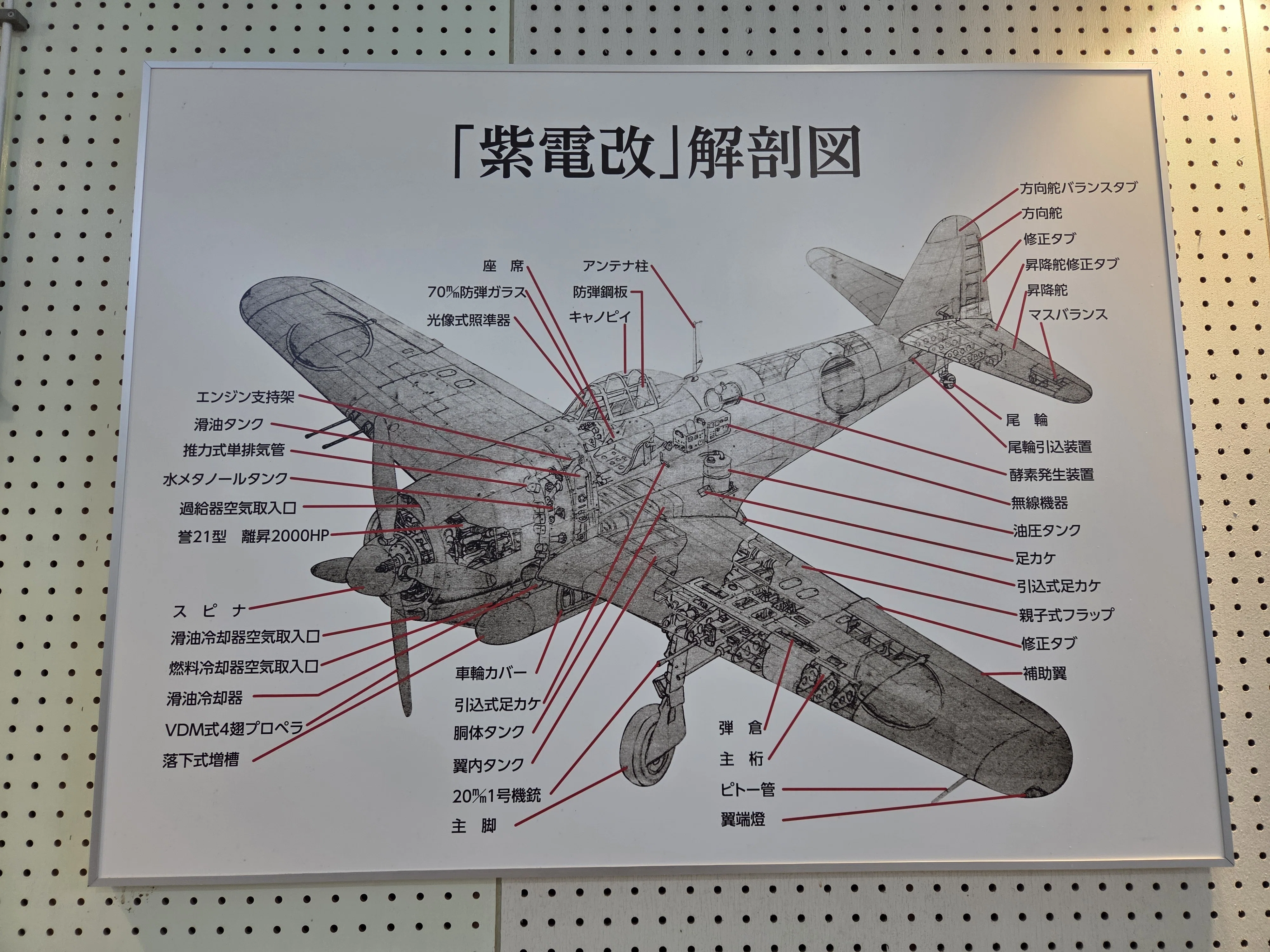 日本国内に一機のみ現存する海軍航空機 紫電改を見て来た｜アニミズム