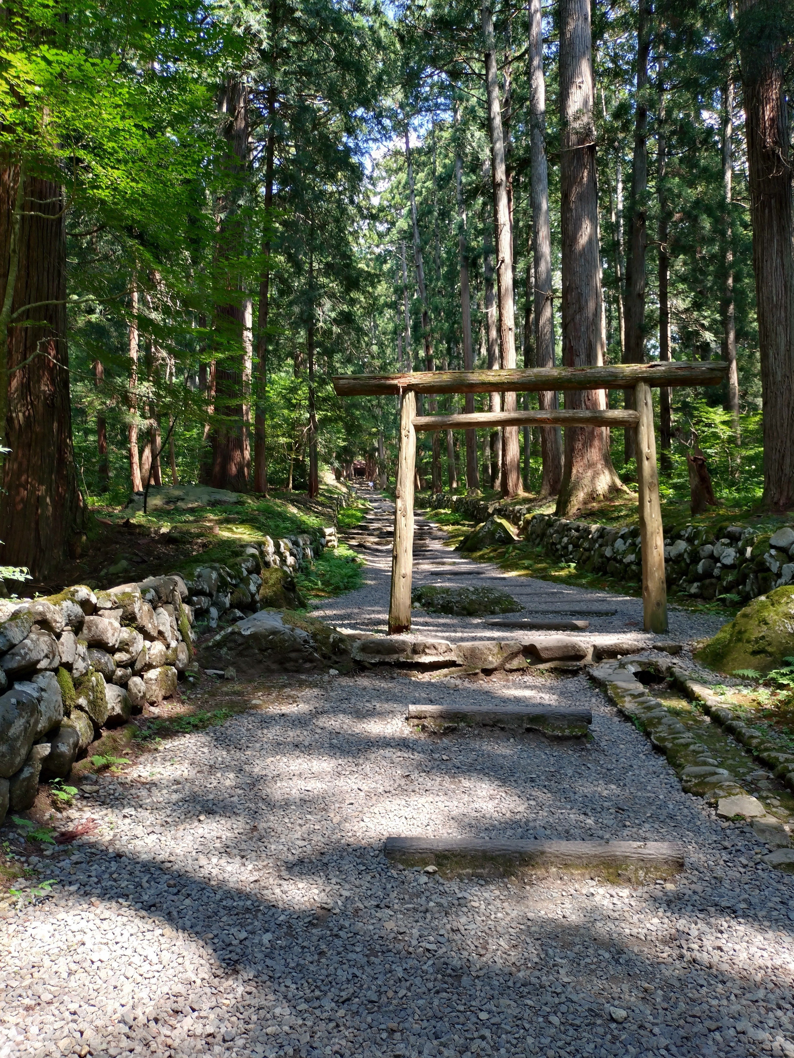 【越前白山神社図】敦史 994 福井県 平泉寺白山神社 共箱二重箱 掛け軸　肉筆 平泉寺白山神社 | 福井県勝山市平泉寺｜平泉寺白山神社
