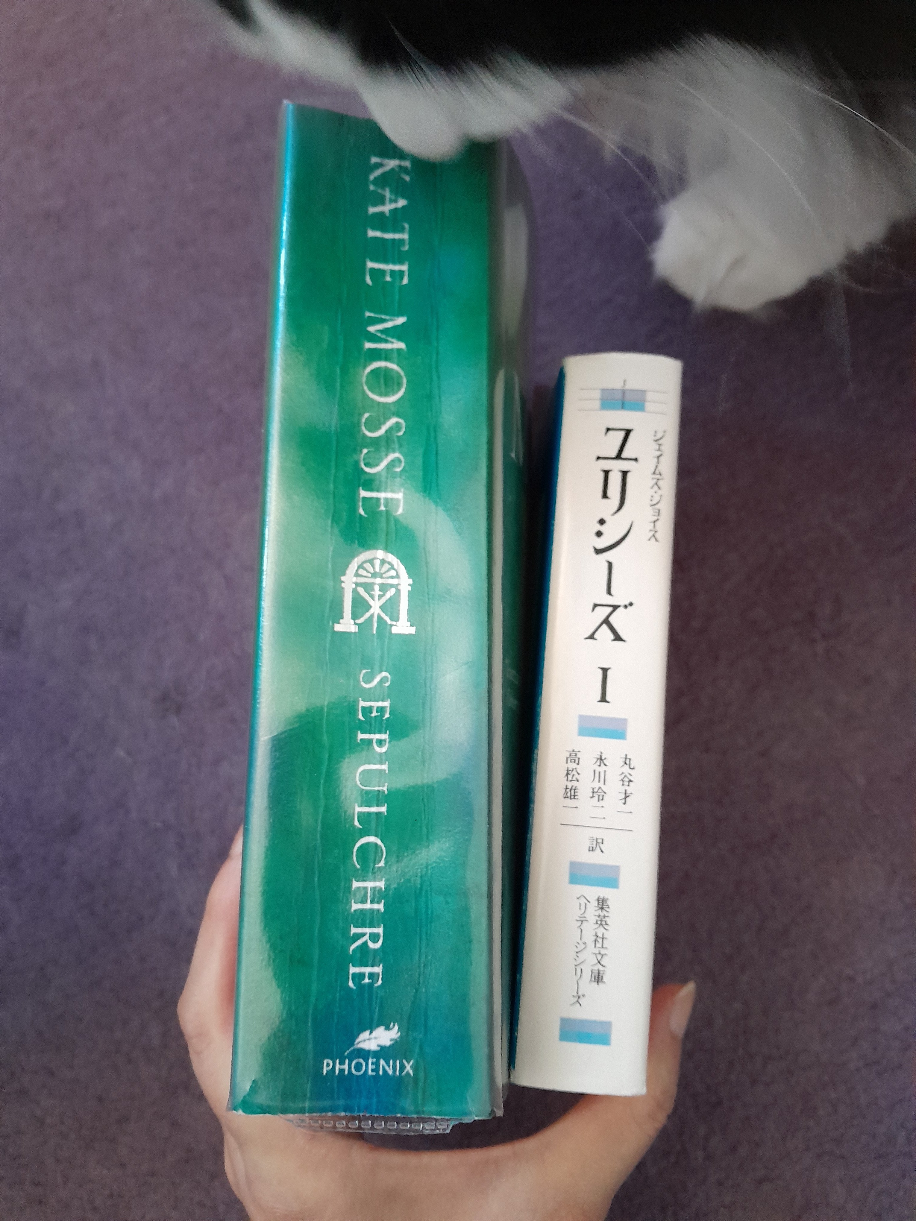分厚い洋書を（物理的に）楽に読む方法を見つけました📚｜ユリ【KIMONO