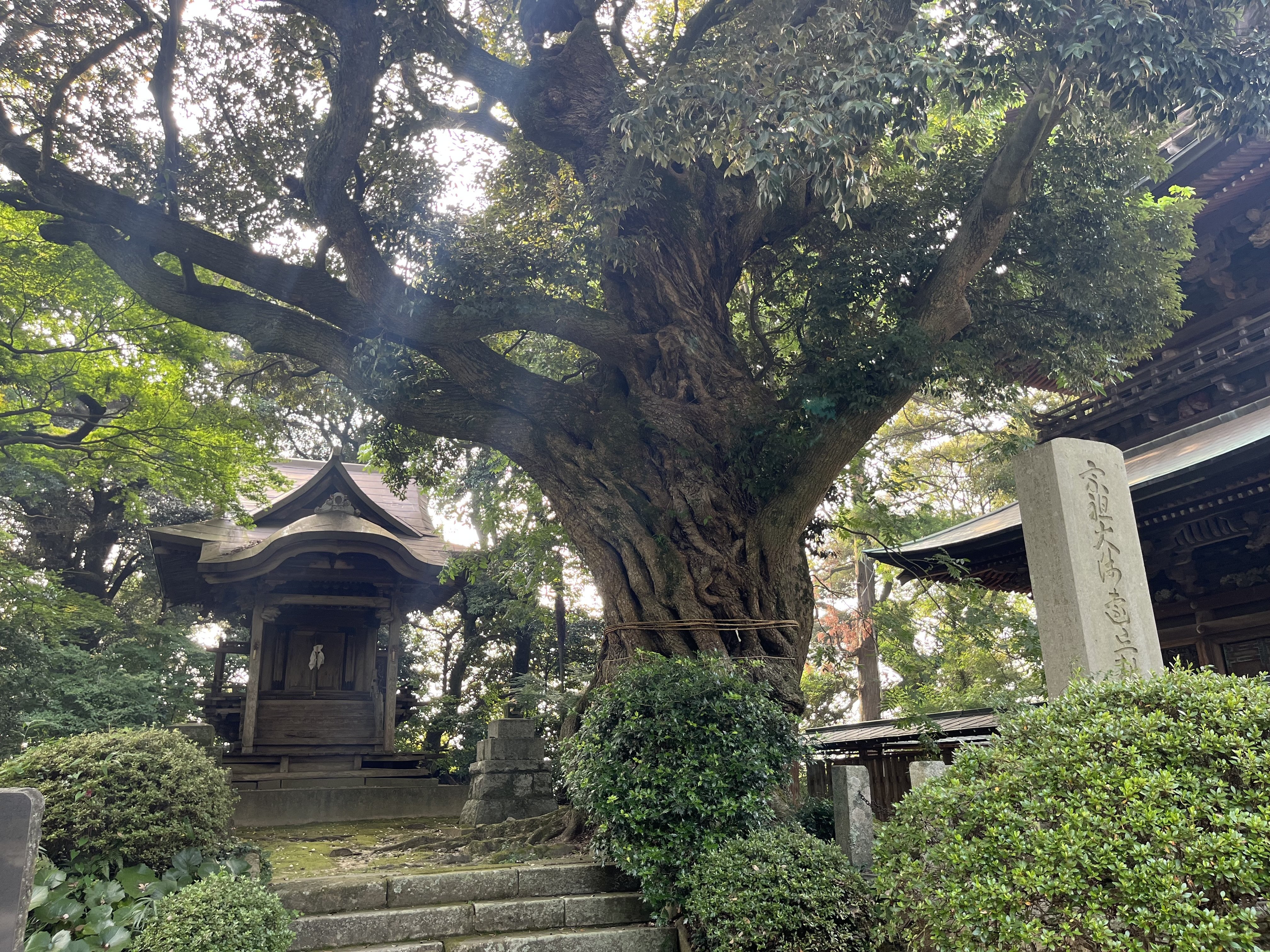 魂の覚醒のお話｜taku4629