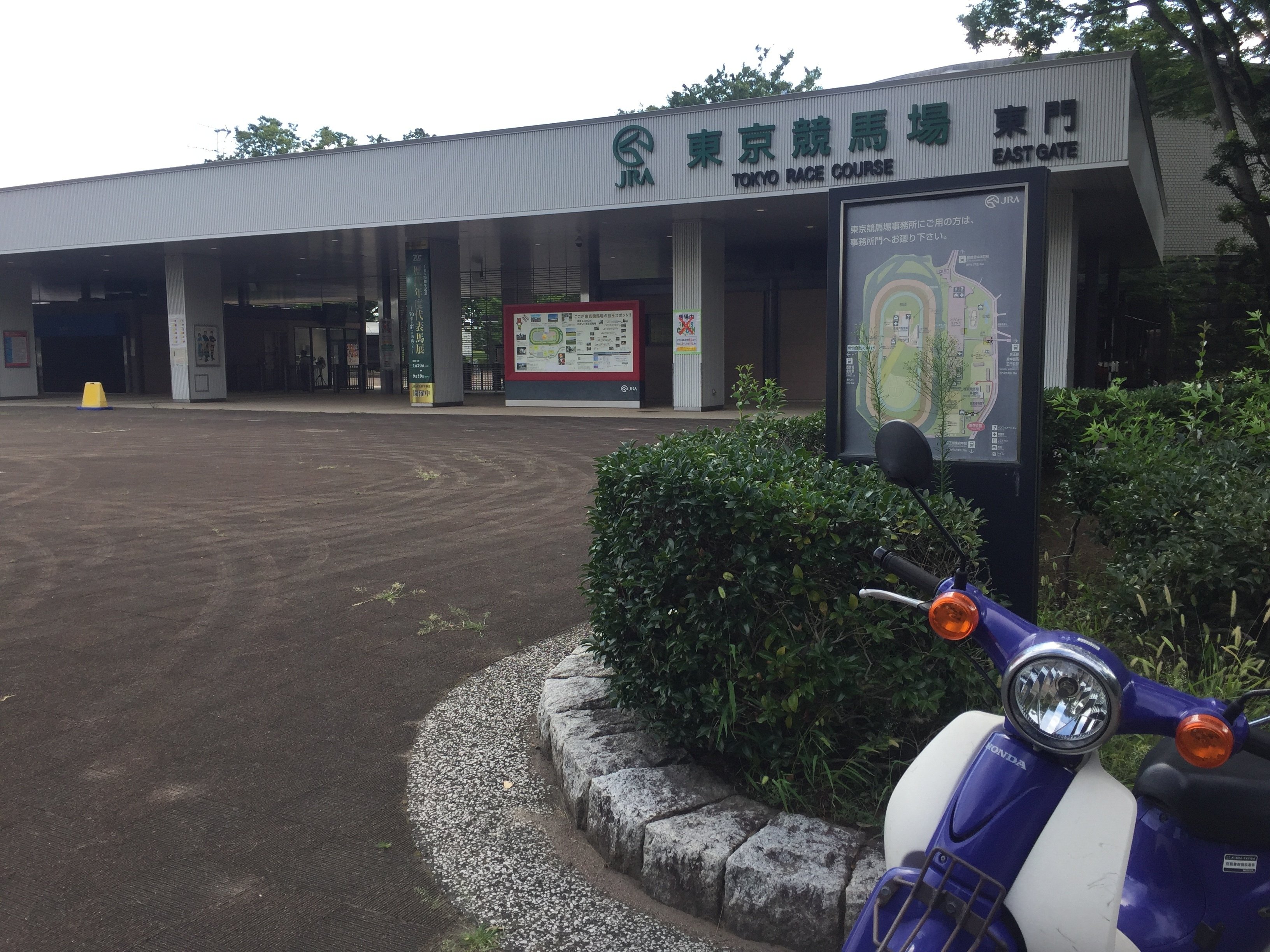 すごい博物館095】JRA競馬博物館：世界と日本の競馬文化に触れ