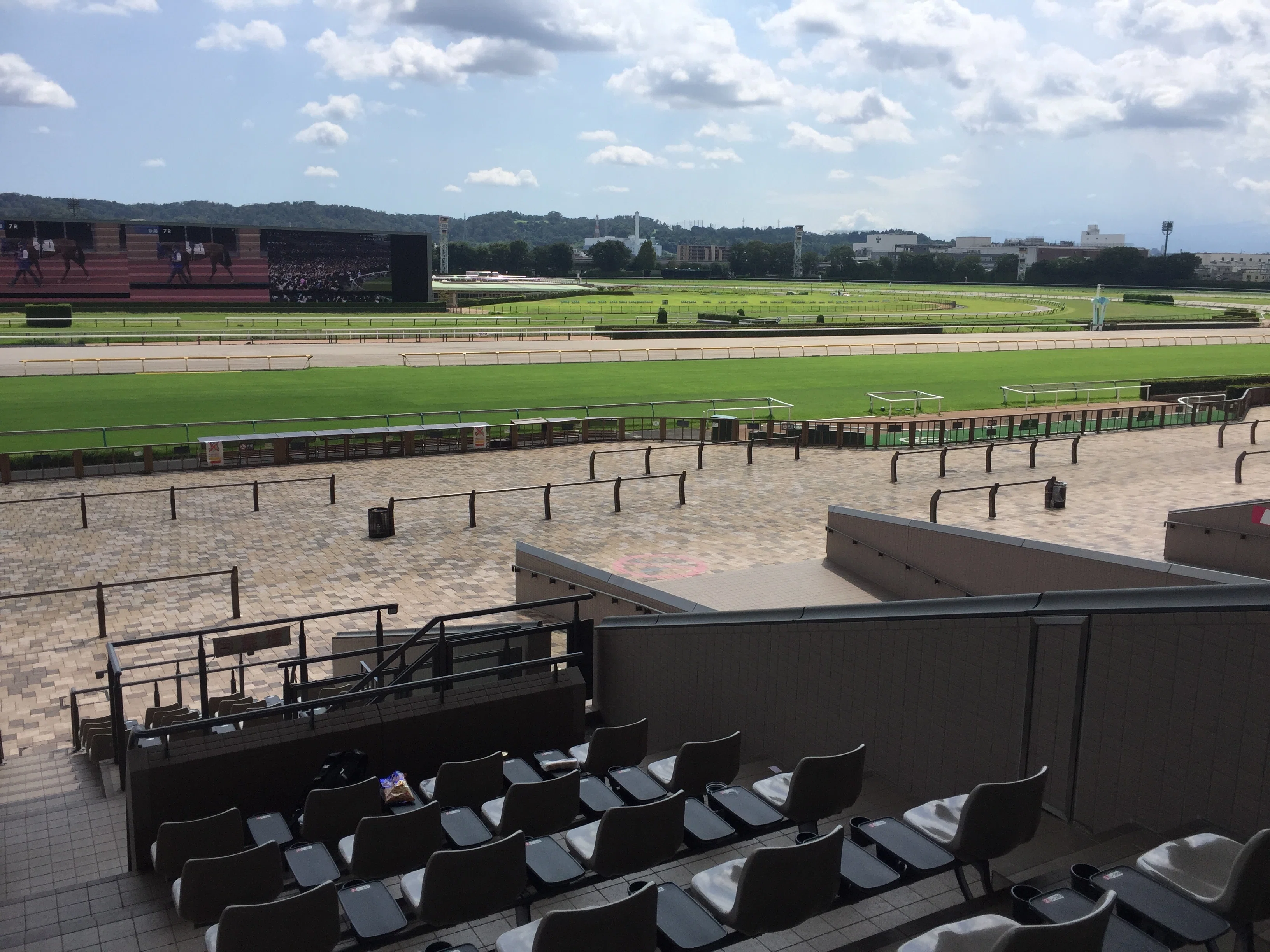 すごい博物館095】JRA競馬博物館：世界と日本の競馬文化に触れ