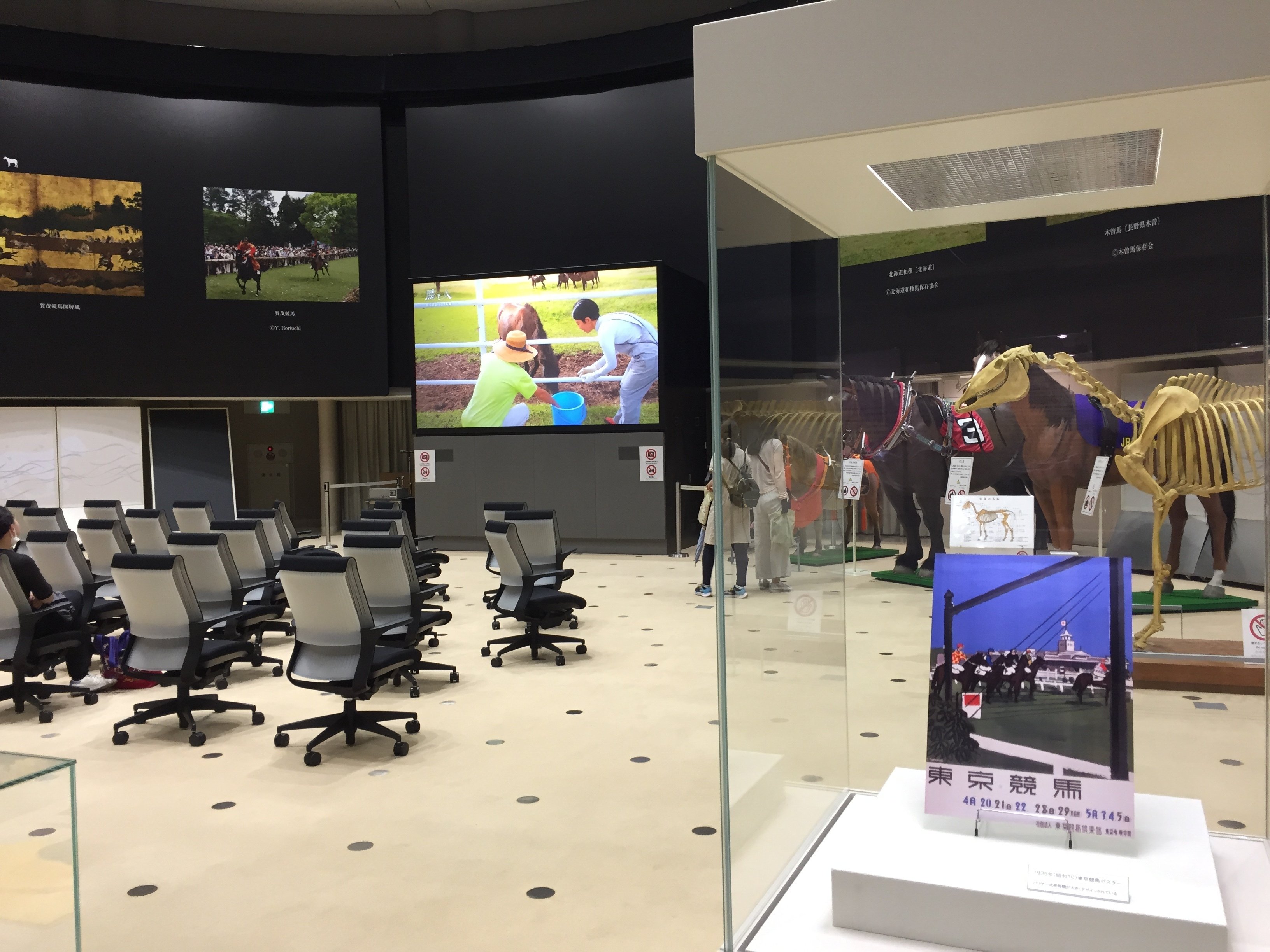 すごい博物館095】JRA競馬博物館：世界と日本の競馬文化に触れ