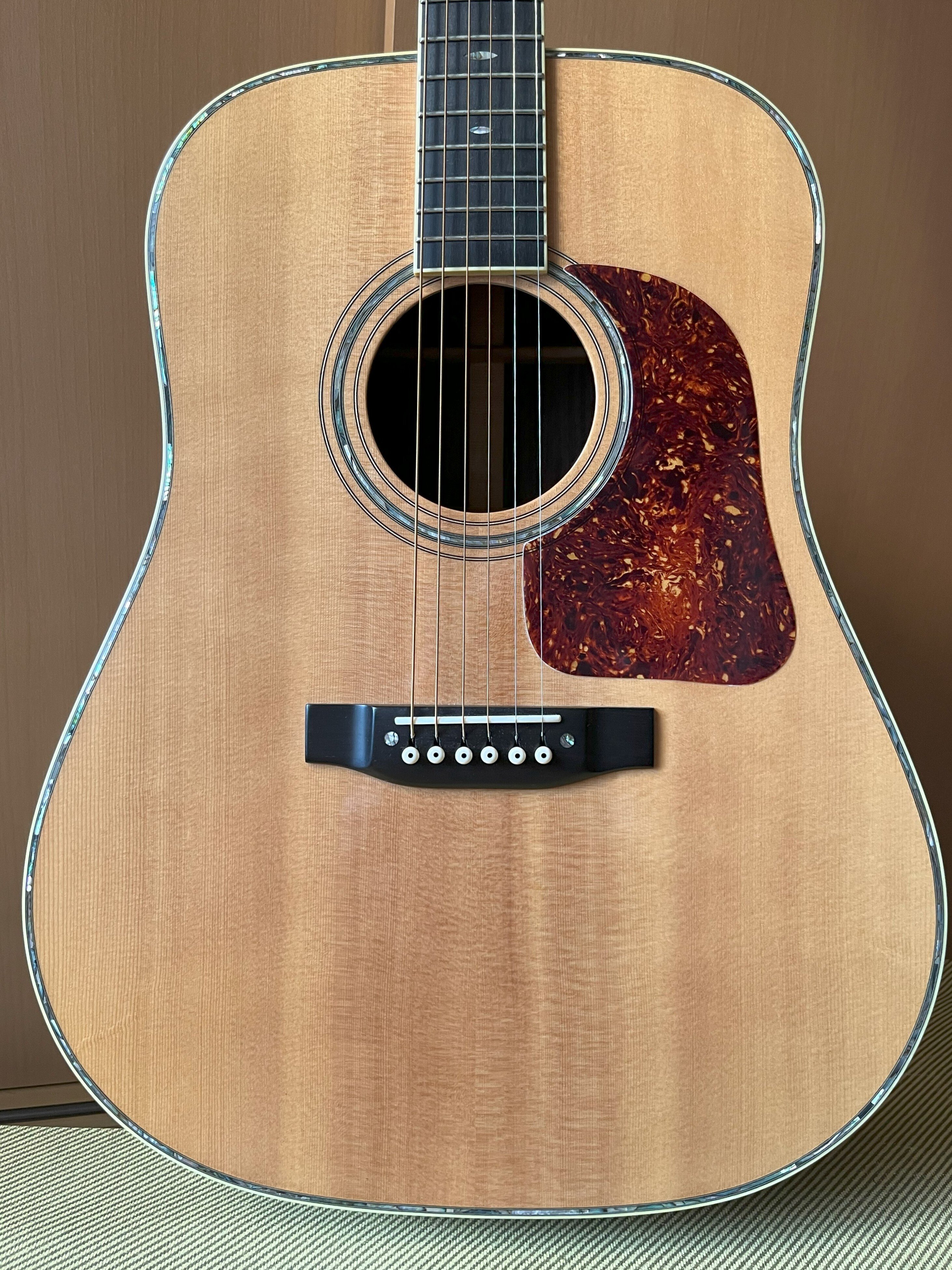 アコギ　ギャラガー 情報に差がありすぎる！」「Gallagher guitar の話」｜アコギ部長