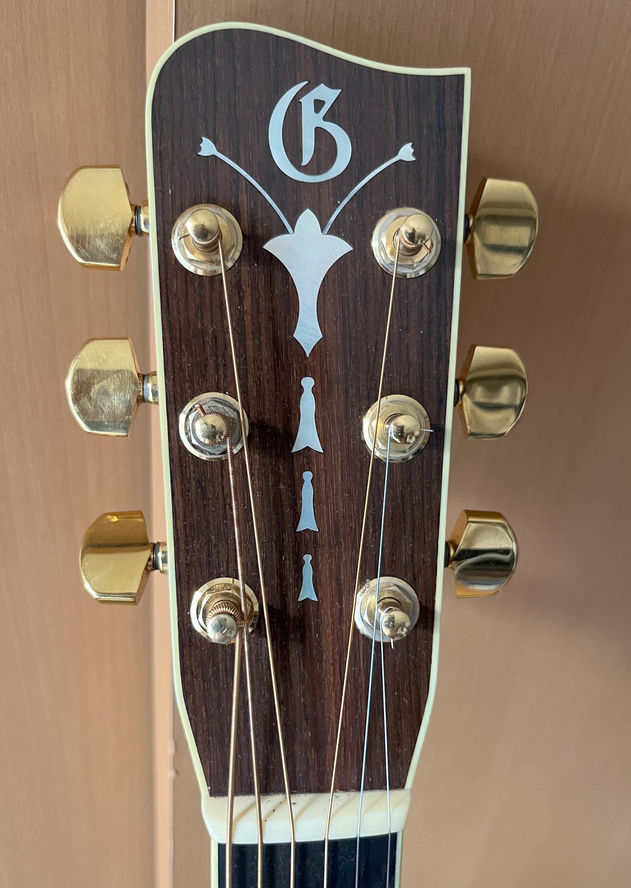 Gallagher ギャラガー エレガット ギター ANⅡ エレアコ 動作OK