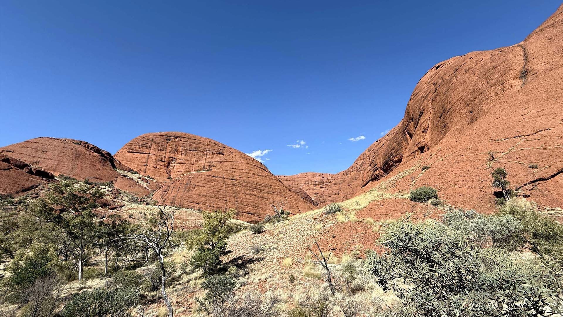 2025年エアーズロック・ダーウィン旅行（2）｜AP48