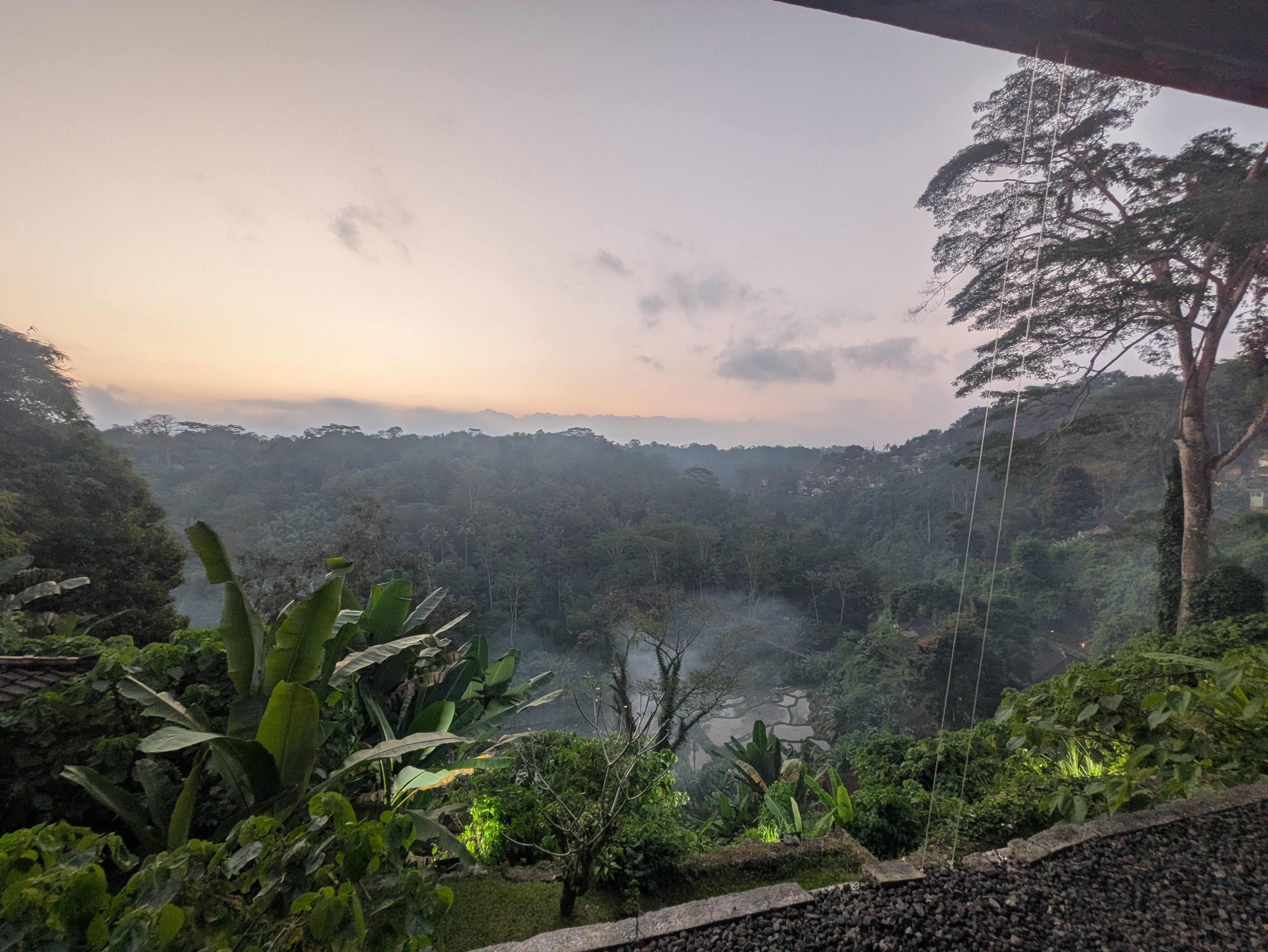 バリ島ウブド おすすめスポット8選＆番外編｜AYA