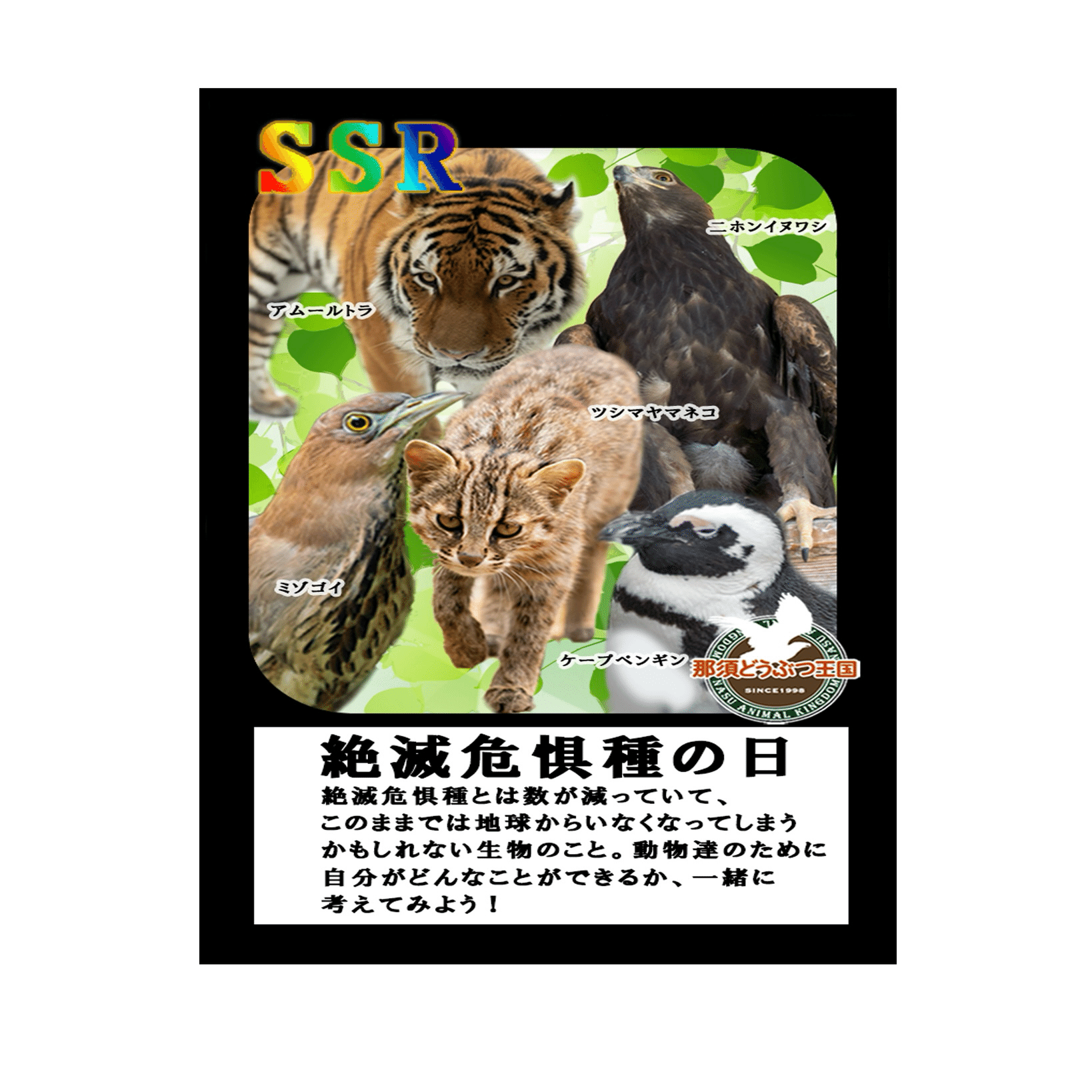 🐧絶滅危惧種の日🐧｜那須どうぶつ王国公式note