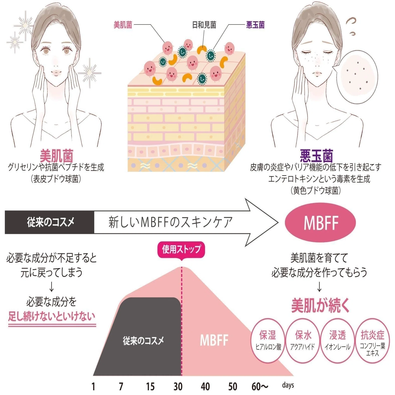 美容と菌活が出会う新時代──「MBFF」で始める“肌のマイクロ 