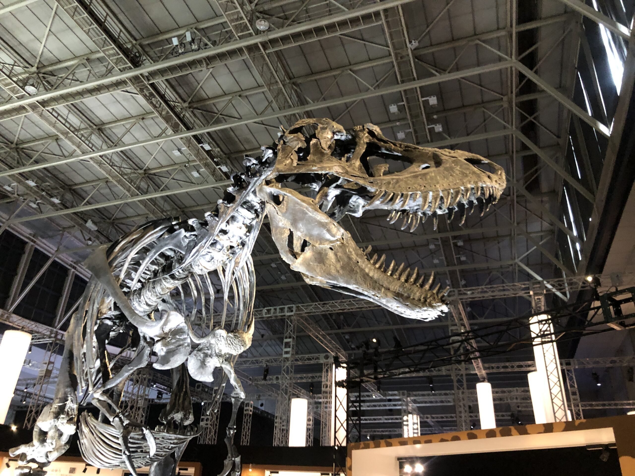 備忘録】Dino Science 恐竜科学博に行って、世界一完全な