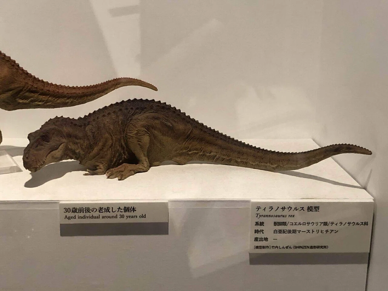 備忘録】Dino Science 恐竜科学博に行って、世界一完全な
