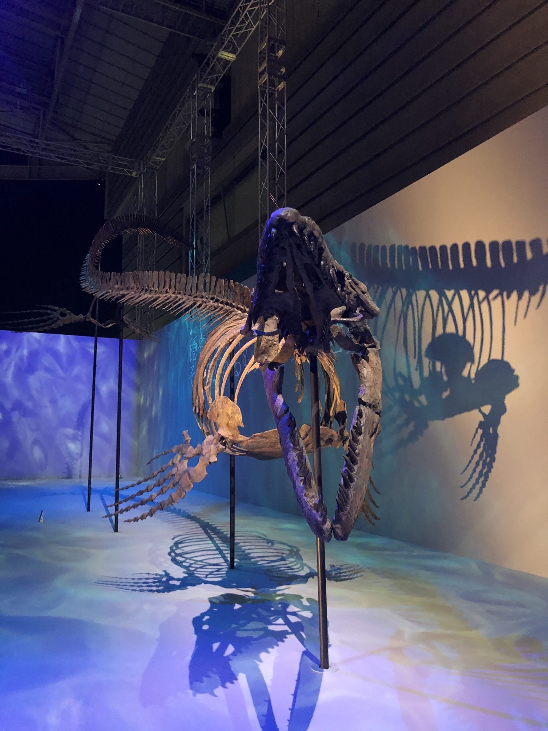 備忘録】Dino Science 恐竜科学博に行って、世界一完全な