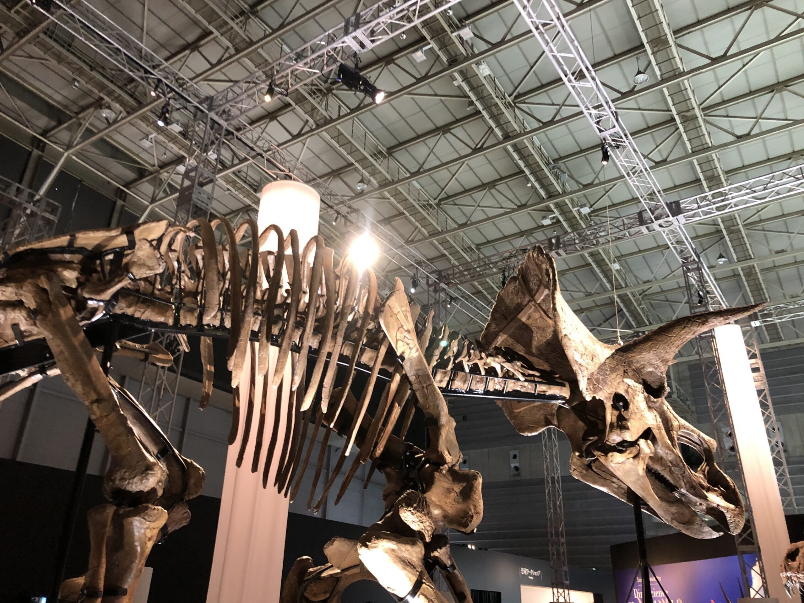 備忘録】Dino Science 恐竜科学博に行って、世界一完全な