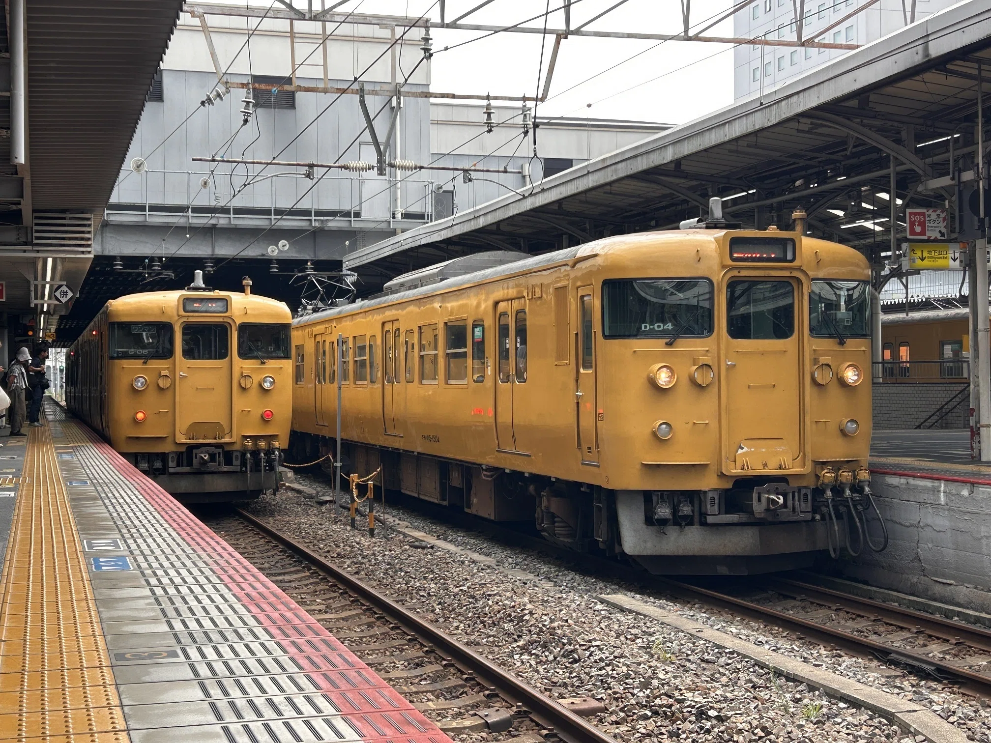 猛暑と戦え
