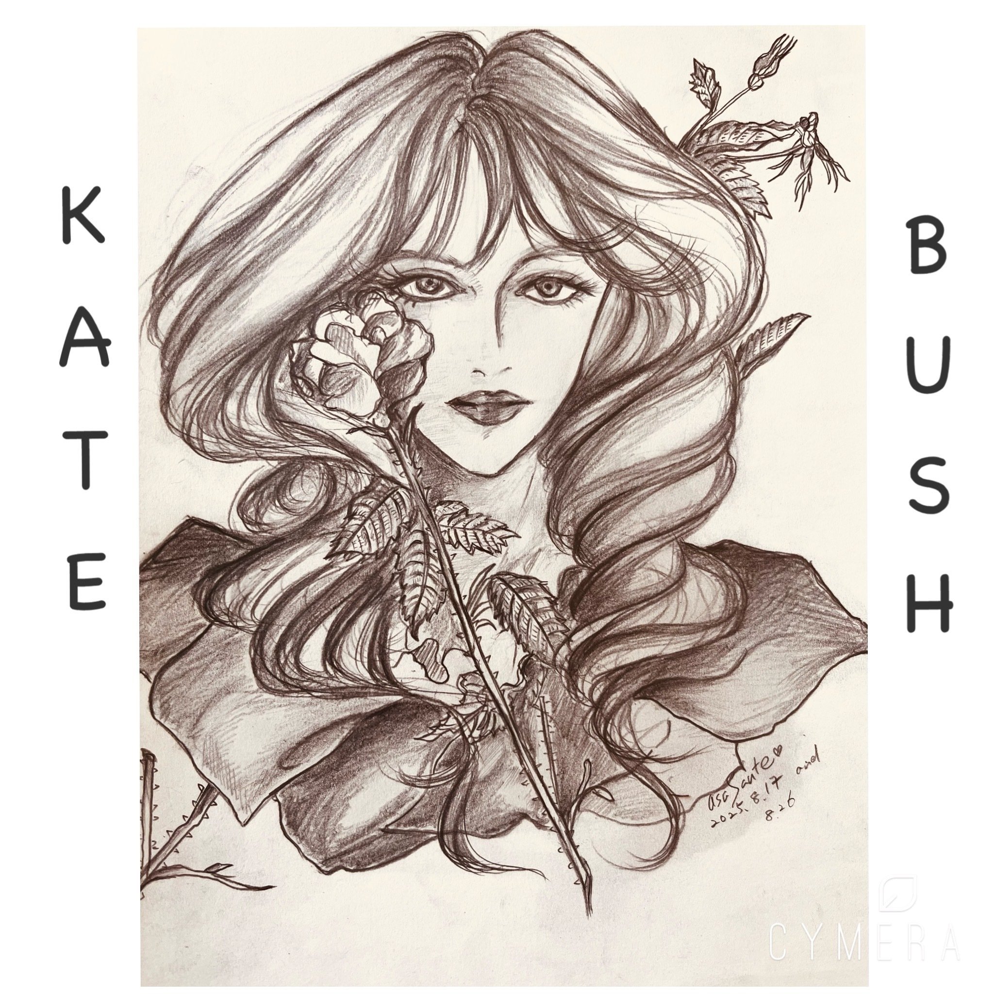 デビッド・ボウイ / ギルモア / ケイト・ブッシュLPレコード4枚セット