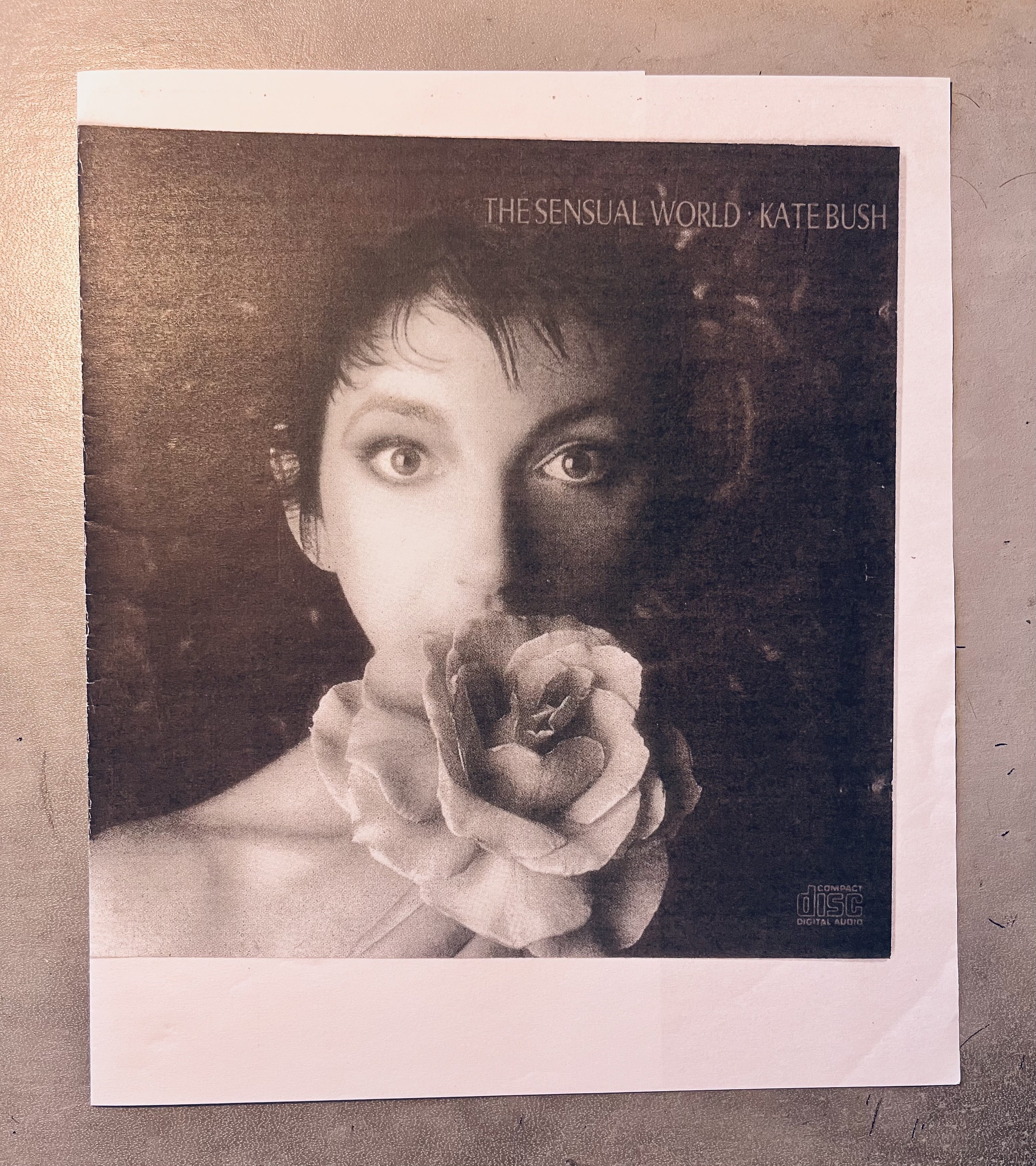 ケイト・ブッシュの激レア・プロモ盤ベスト ケイト・ブッシュの激レア・プロモ盤ベスト