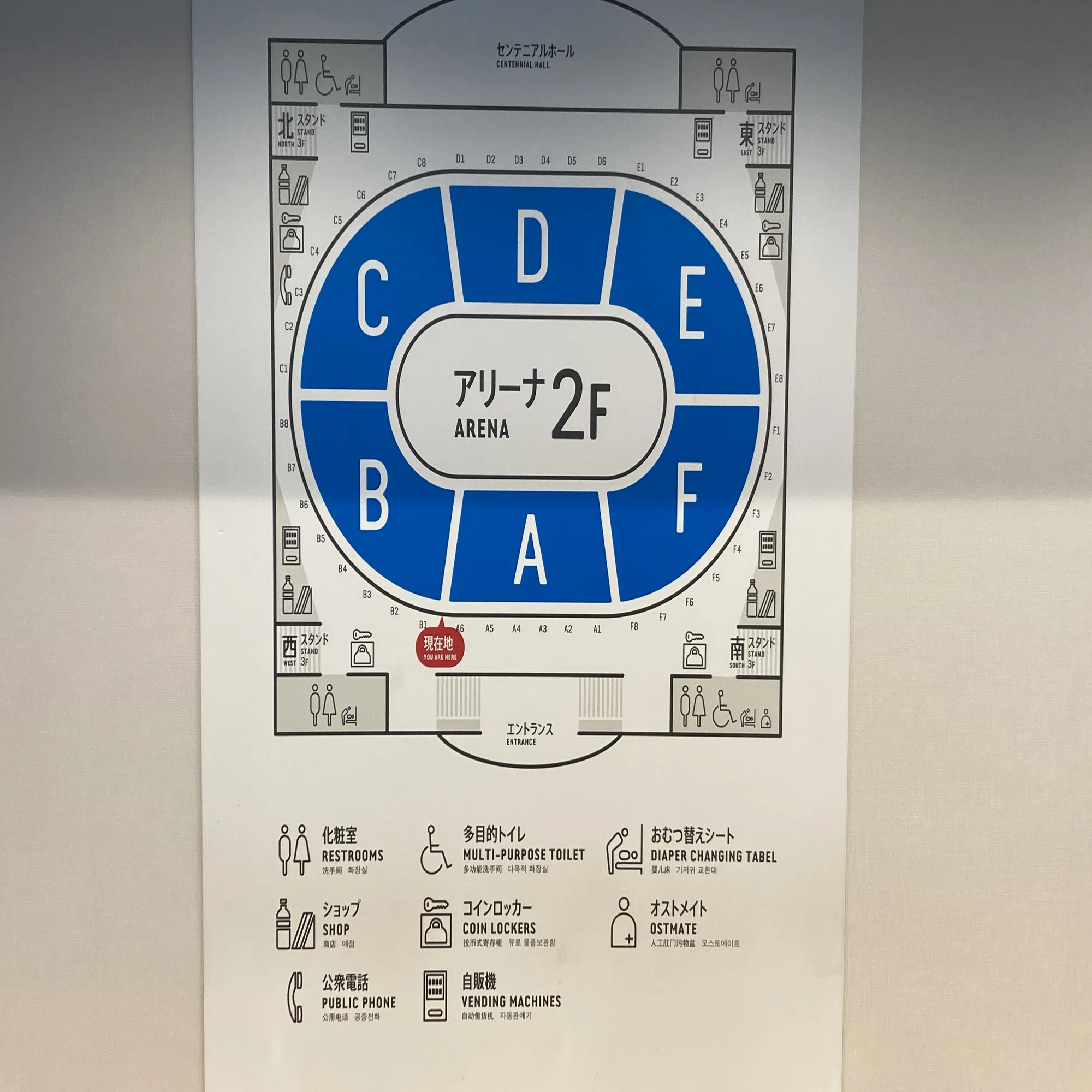 体験談】ディズニーオンアイス横浜公演！SS席の見え方、服装、穴場駐 