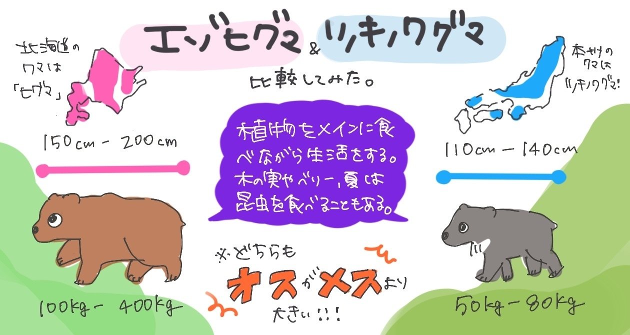 森に帰れないクマたち｜津幹 みむ＊動物たちを描く人