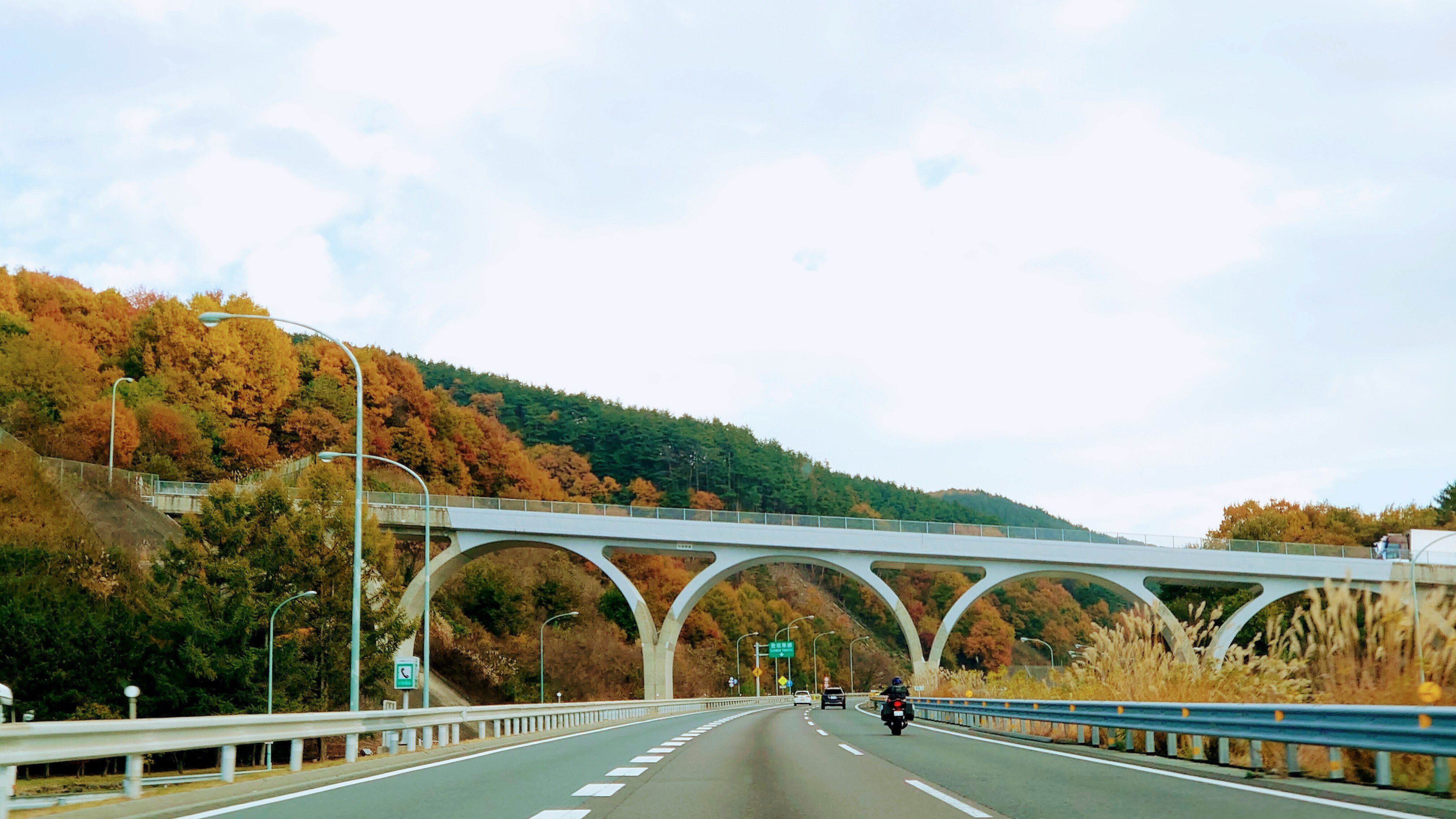 今日の1枚｜vol.2「トンネル？橋？いいえ、“桃源郷”です」｜山形みらい