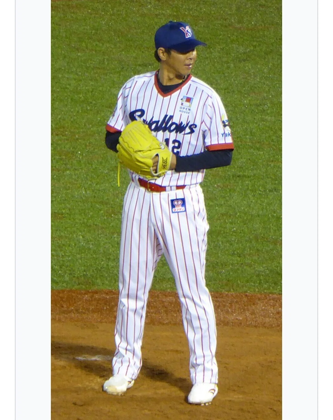 ヤクルト ユニフォーム 2010 祝 優勝 ヤクルトスワローズ 2010年 一場