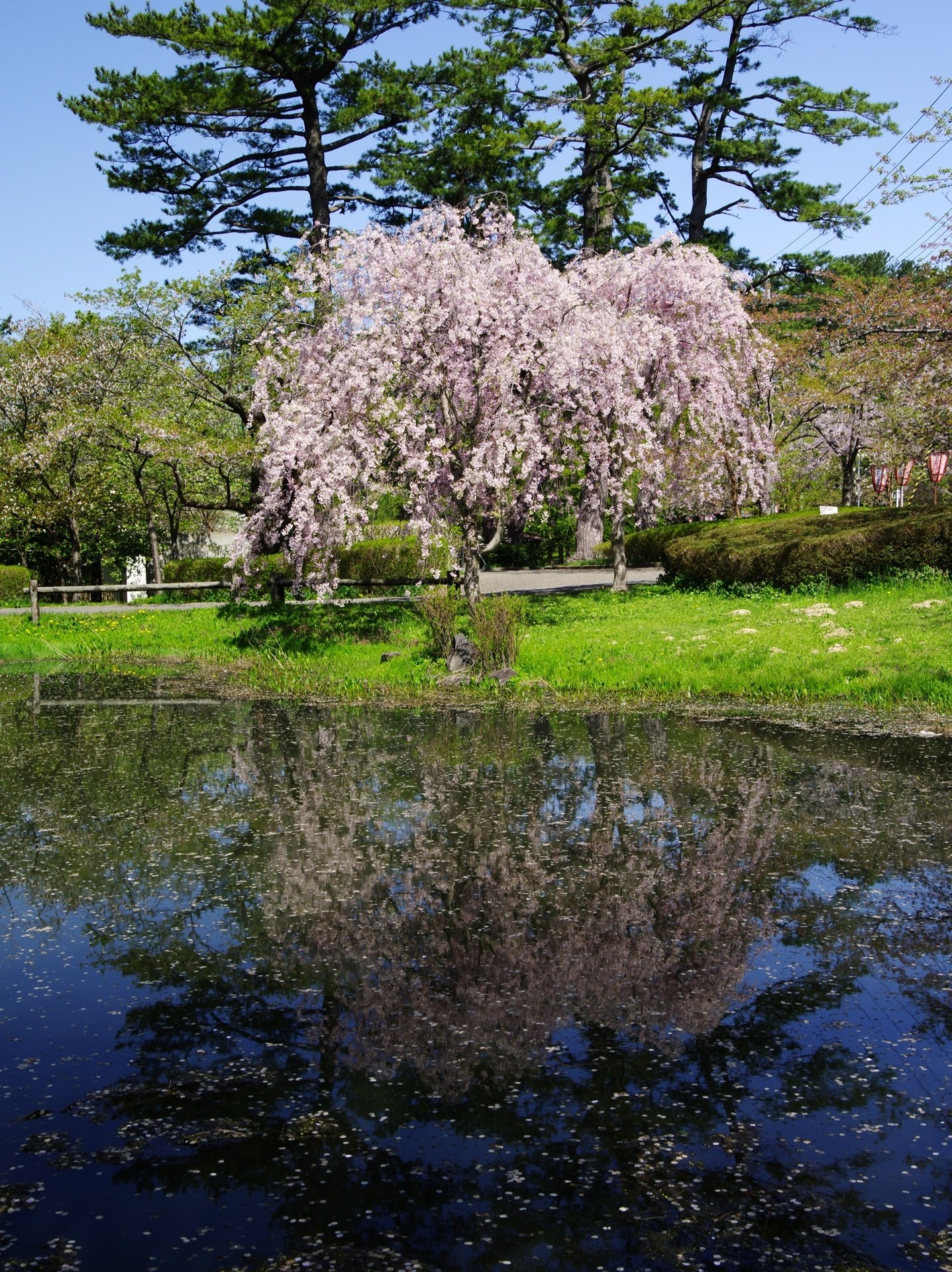 津軽鉄道の『走れメロス号』に乗る ～撮影旅行よもやま話集～｜綺麗な