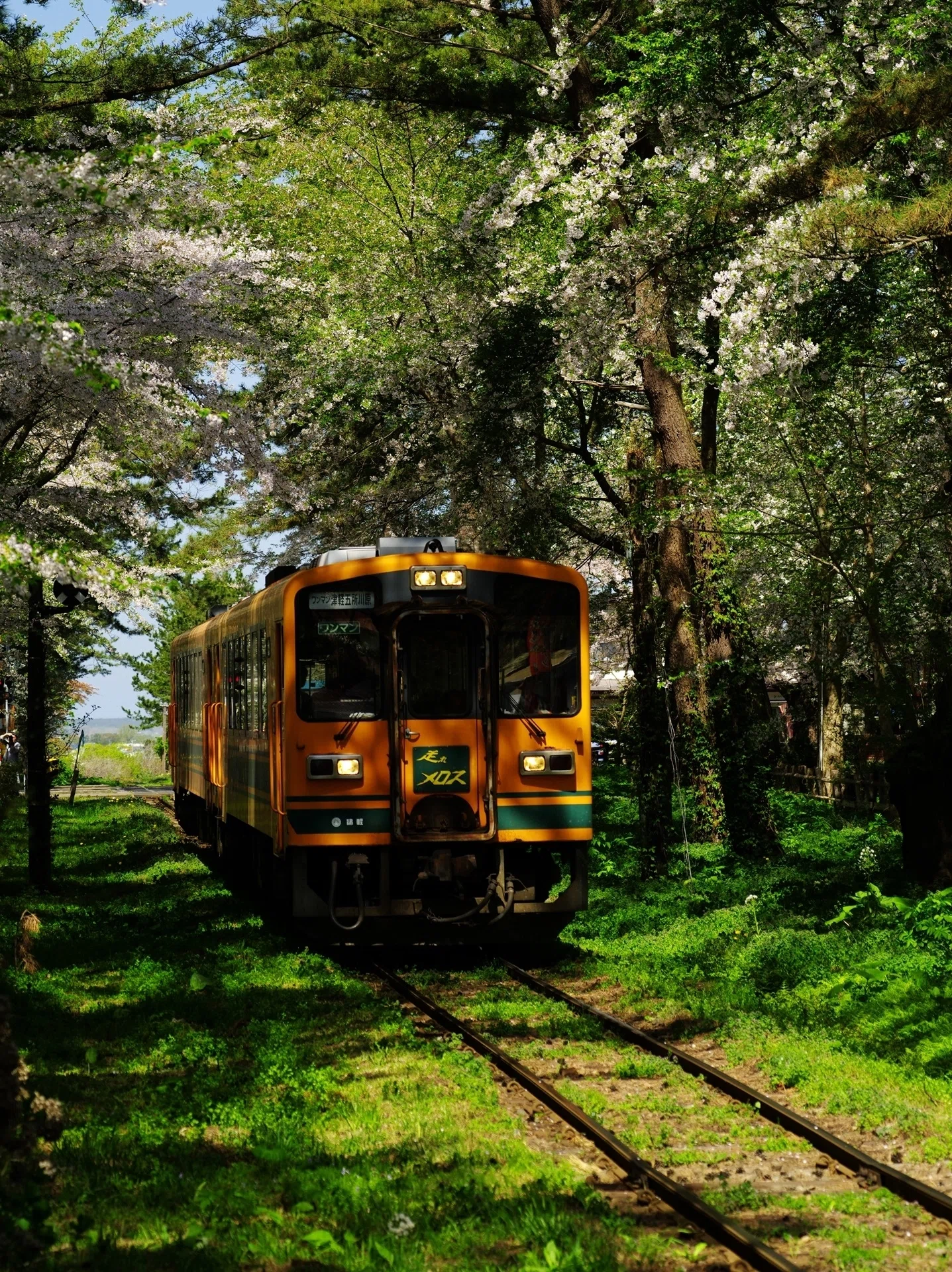 津軽鉄道の『走れメロス号』に乗る ～撮影旅行よもやま話集～｜綺麗な