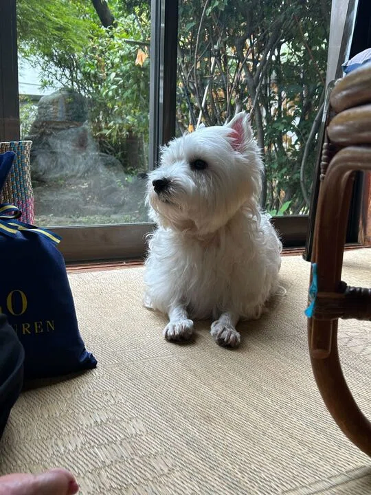 画像