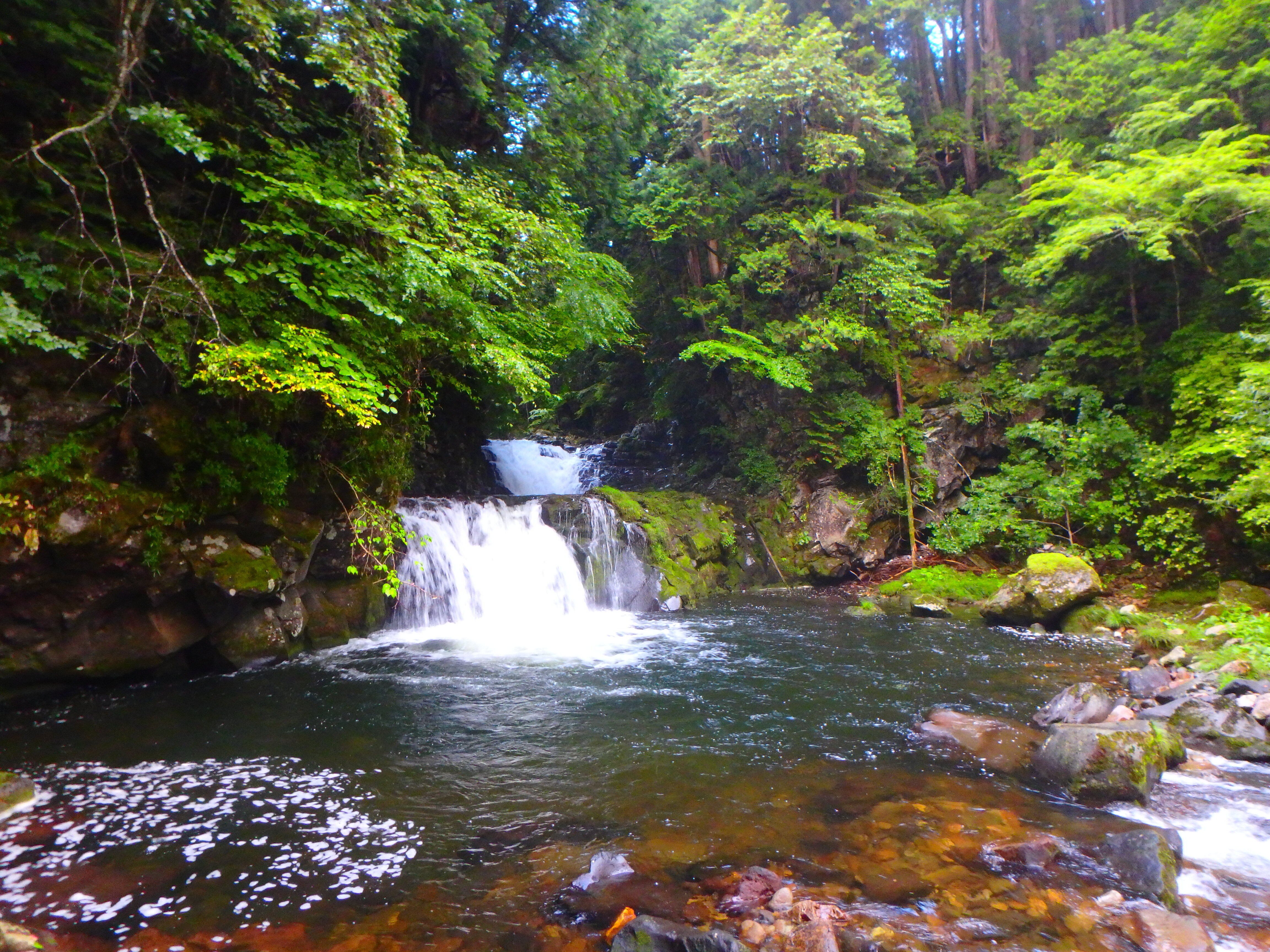 渓流 夏の渓流釣り～飛騨川支流 日和田川釣行｜SW工房