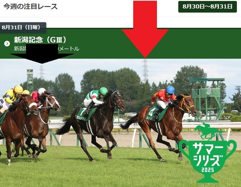 新潟記念・中京2歳ステークス2025 サイン馬券｜新潟記念の画像